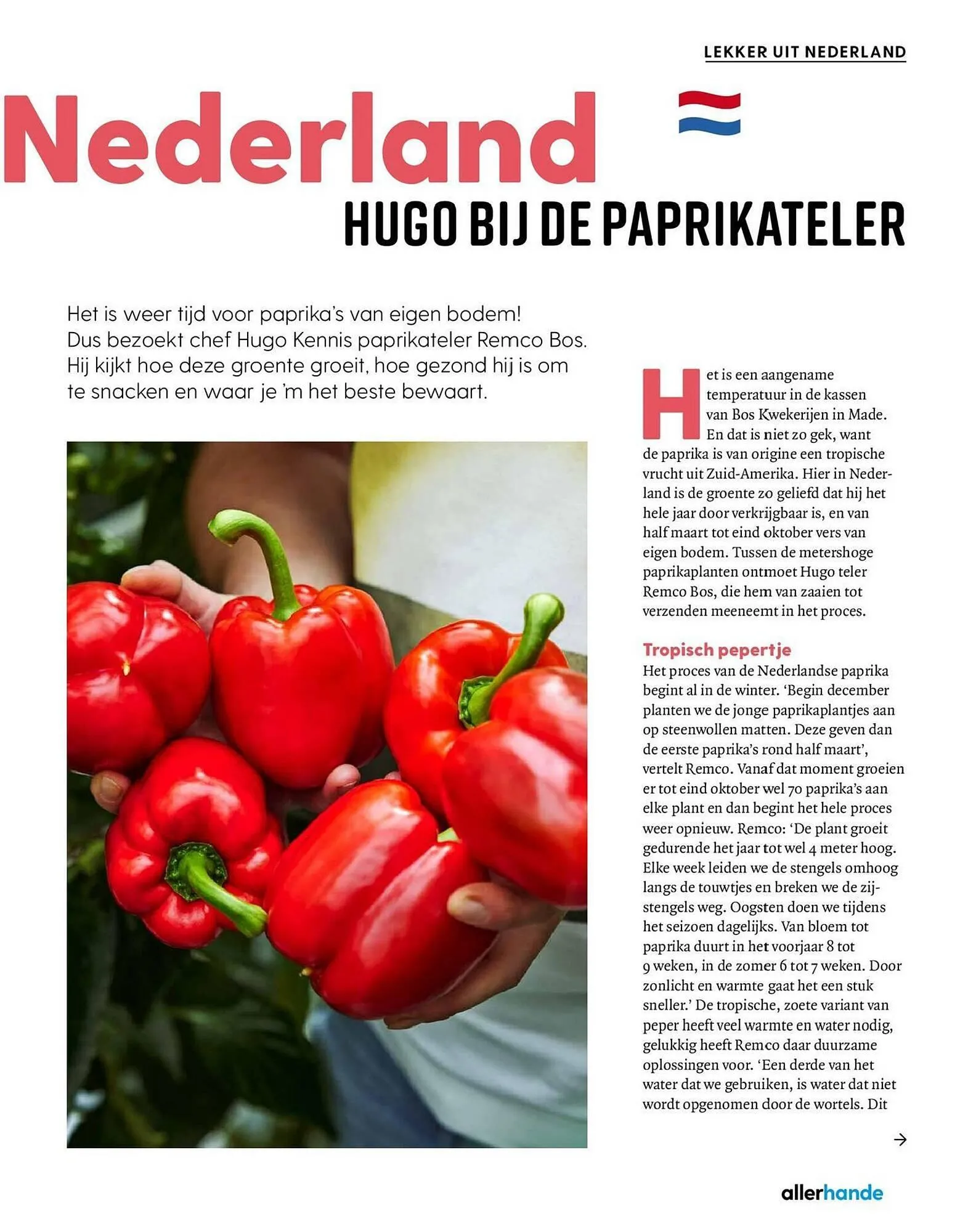 Allerhande magazine van 1 juli tot 31 juli 2024 - Folder pagina 63