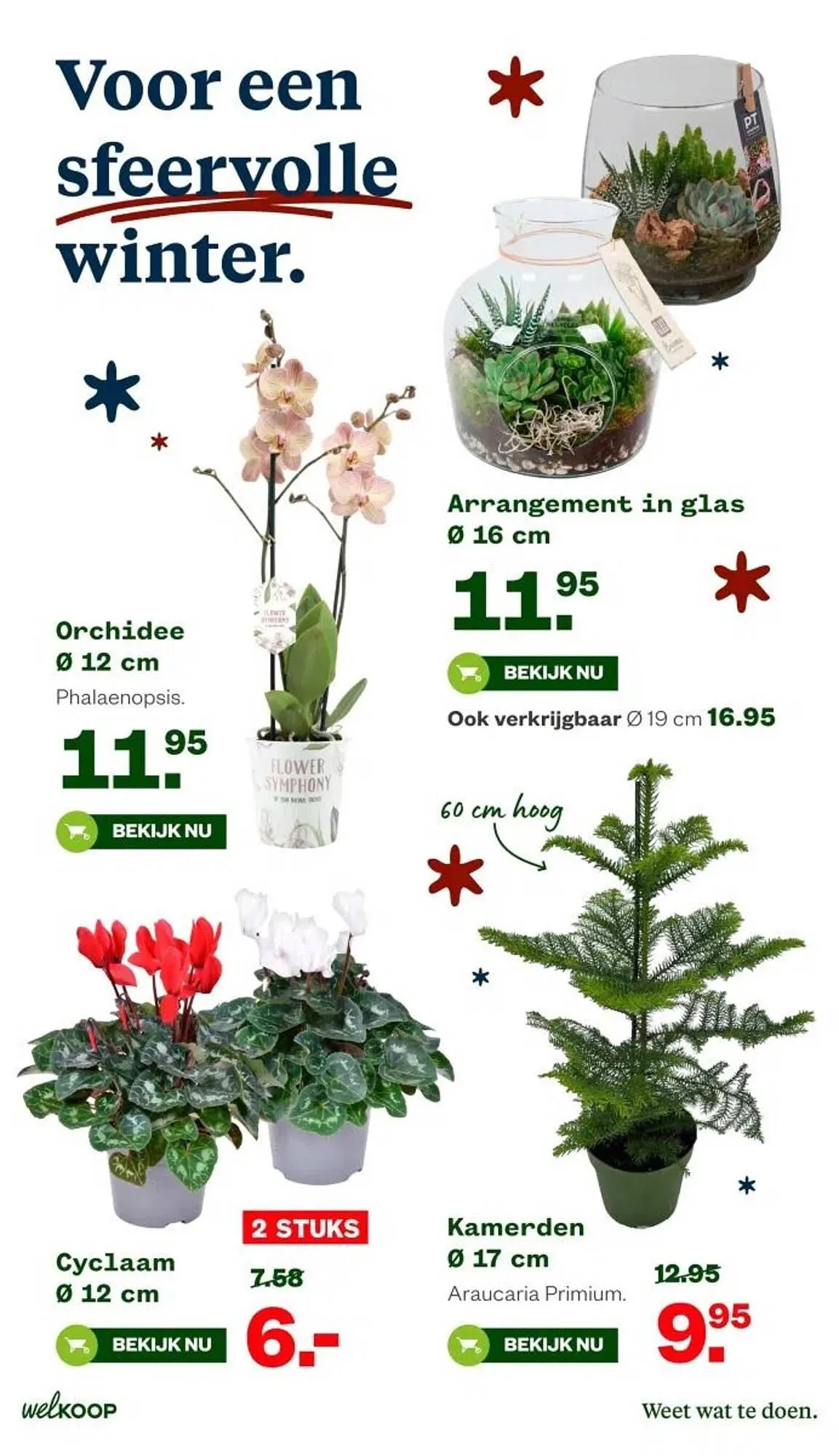 Welkoop folder van 17 november tot 23 november 2025 - Folder pagina 13