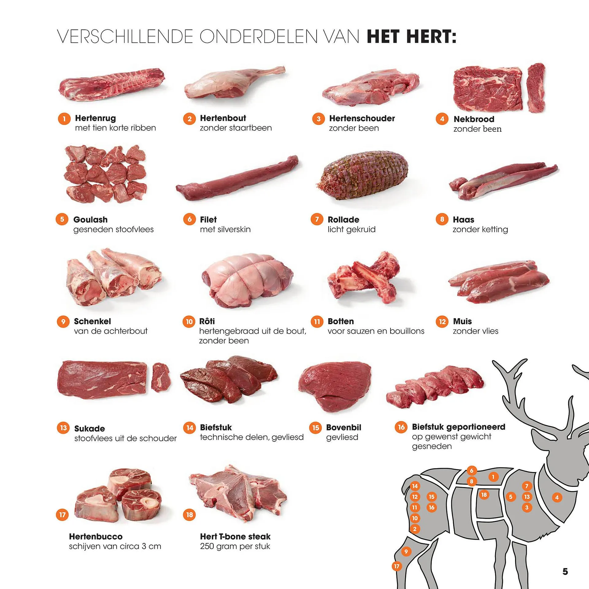 HANOS folder van 12 september tot 31 december 2025 - Folder pagina 5