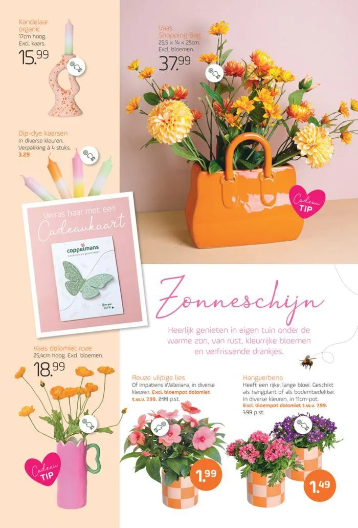 Moederdag special van 1 mei tot 15 mei 2024 - Folder pagina 6