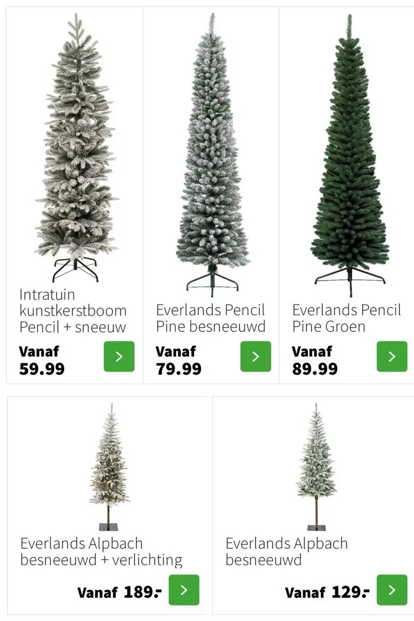 Intratuin folder van 9 oktober tot 24 december 2025 - Folder pagina 17