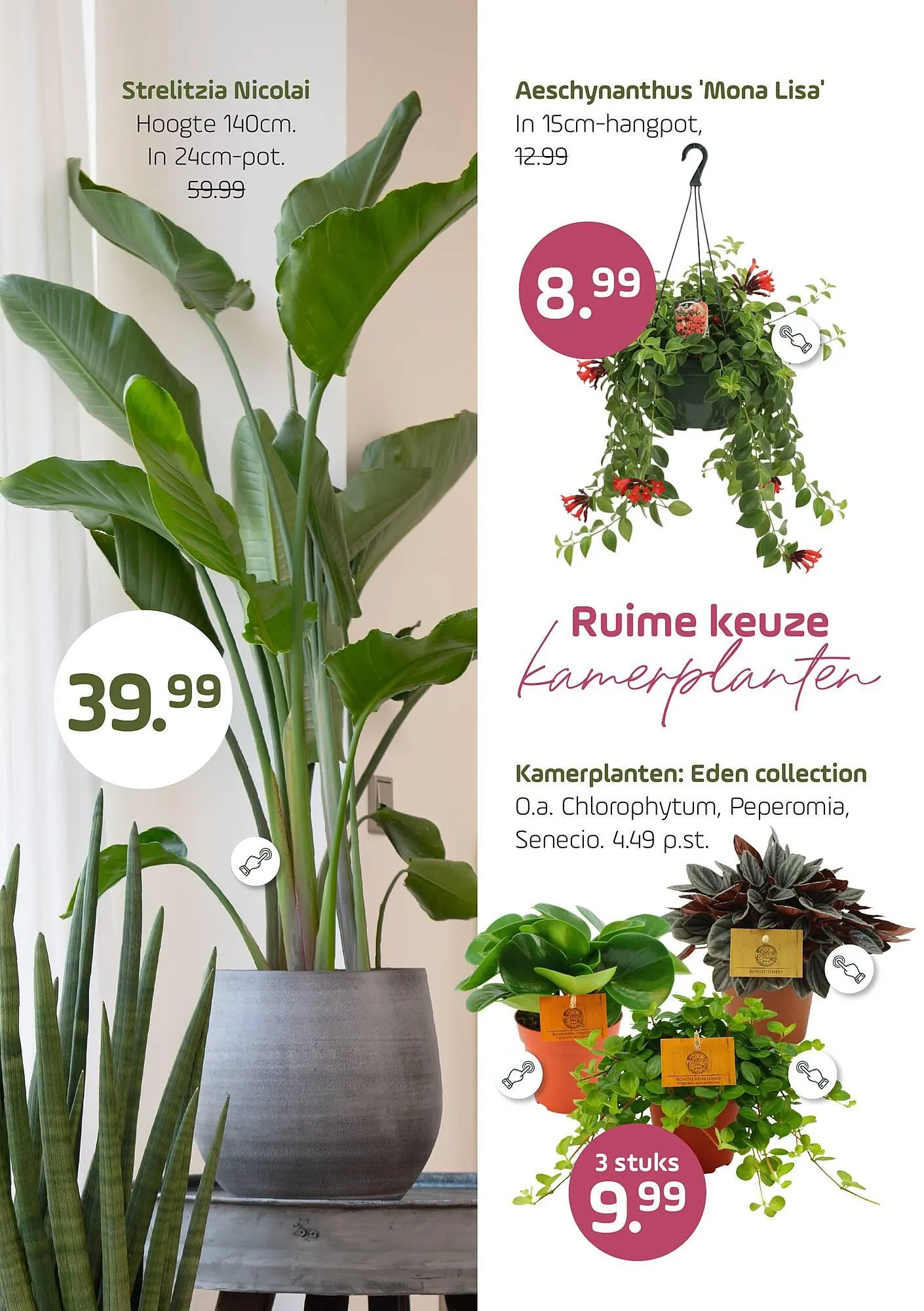 Coppelmans folder van 14 januari tot 25 januari 2026 - Folder pagina 6