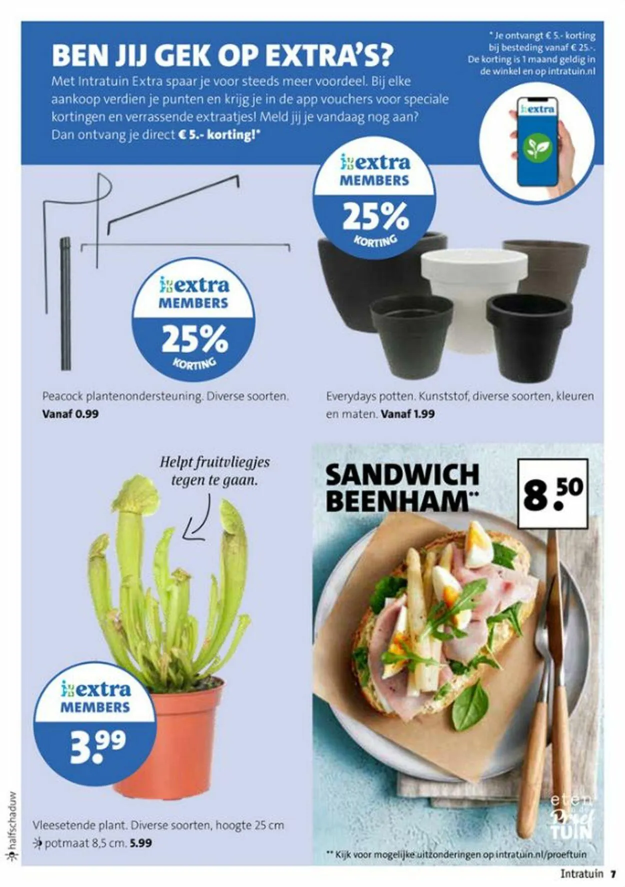 Intratuin Actuele folder van 26 oktober tot 9 november 2025 - Folder pagina 7