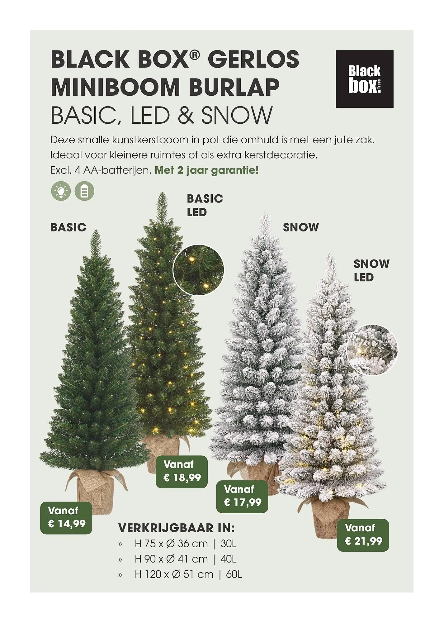 Coppelmans kerstbomencatalogus van 12 november tot 24 december 2025 - Folder pagina 6