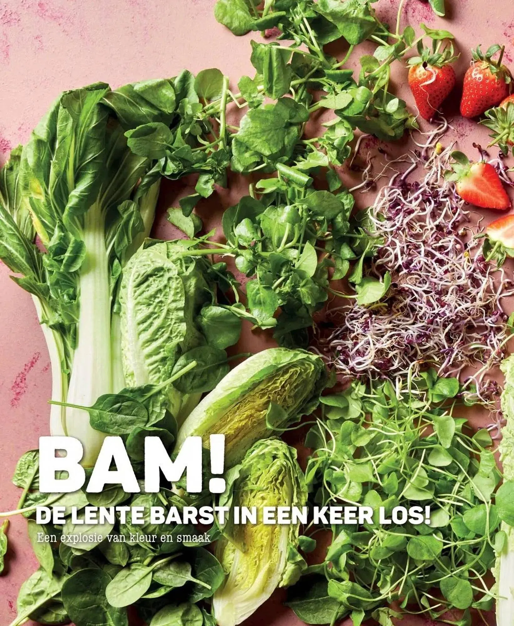 Ekoplaza folder van 19 maart tot 29 april 2025 - Folder pagina 24