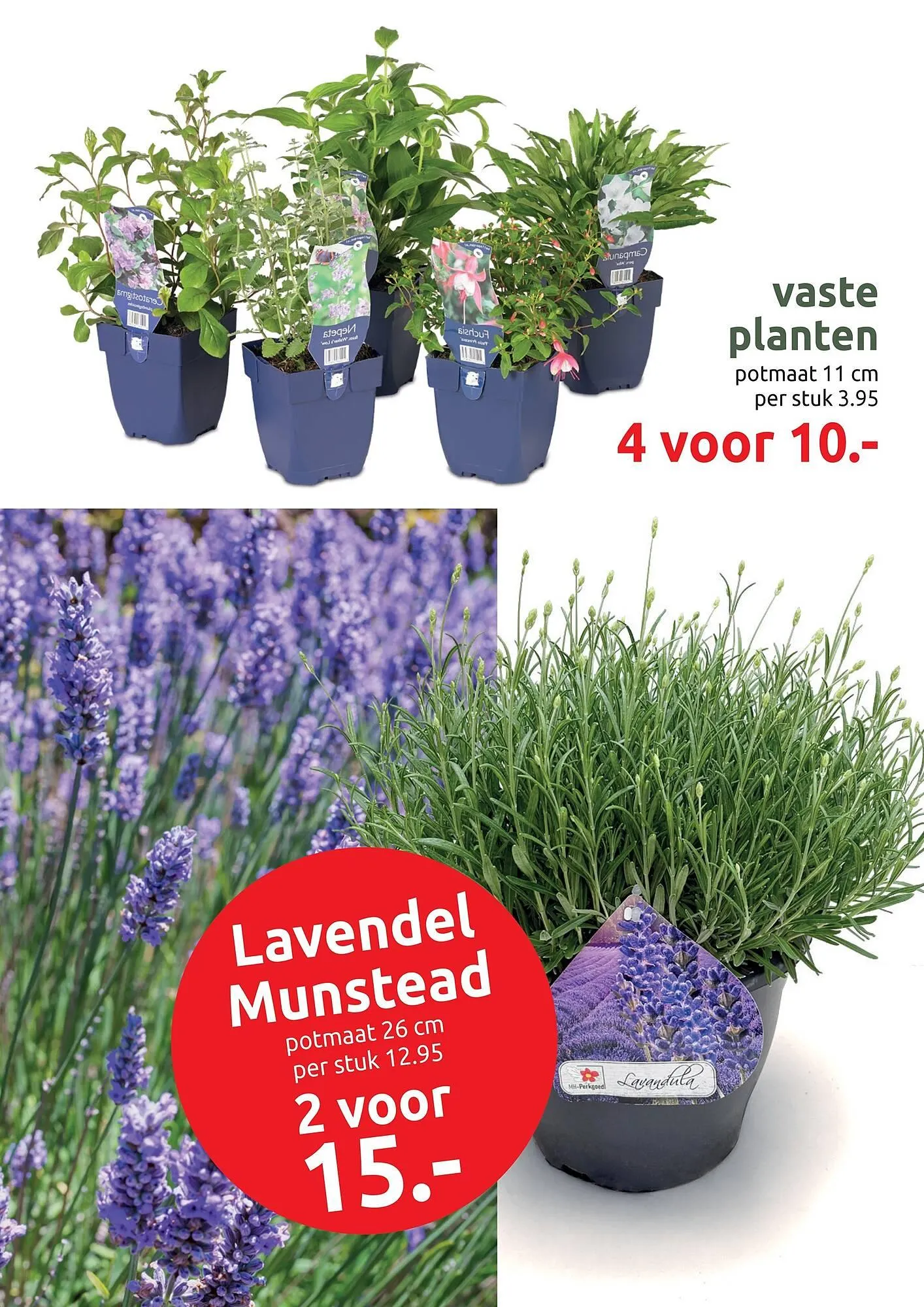 Deka Tuin folder van 27 april tot 10 mei 2026 - Folder pagina 8