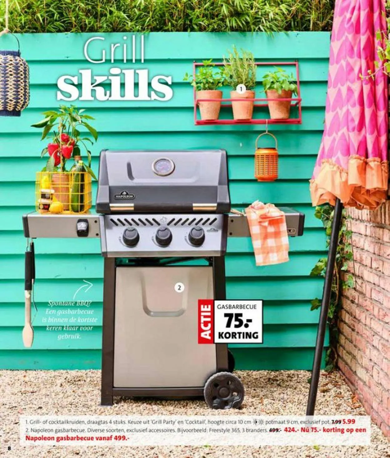 Intratuin van 19 mei tot 25 mei 2025 - Folder pagina 8