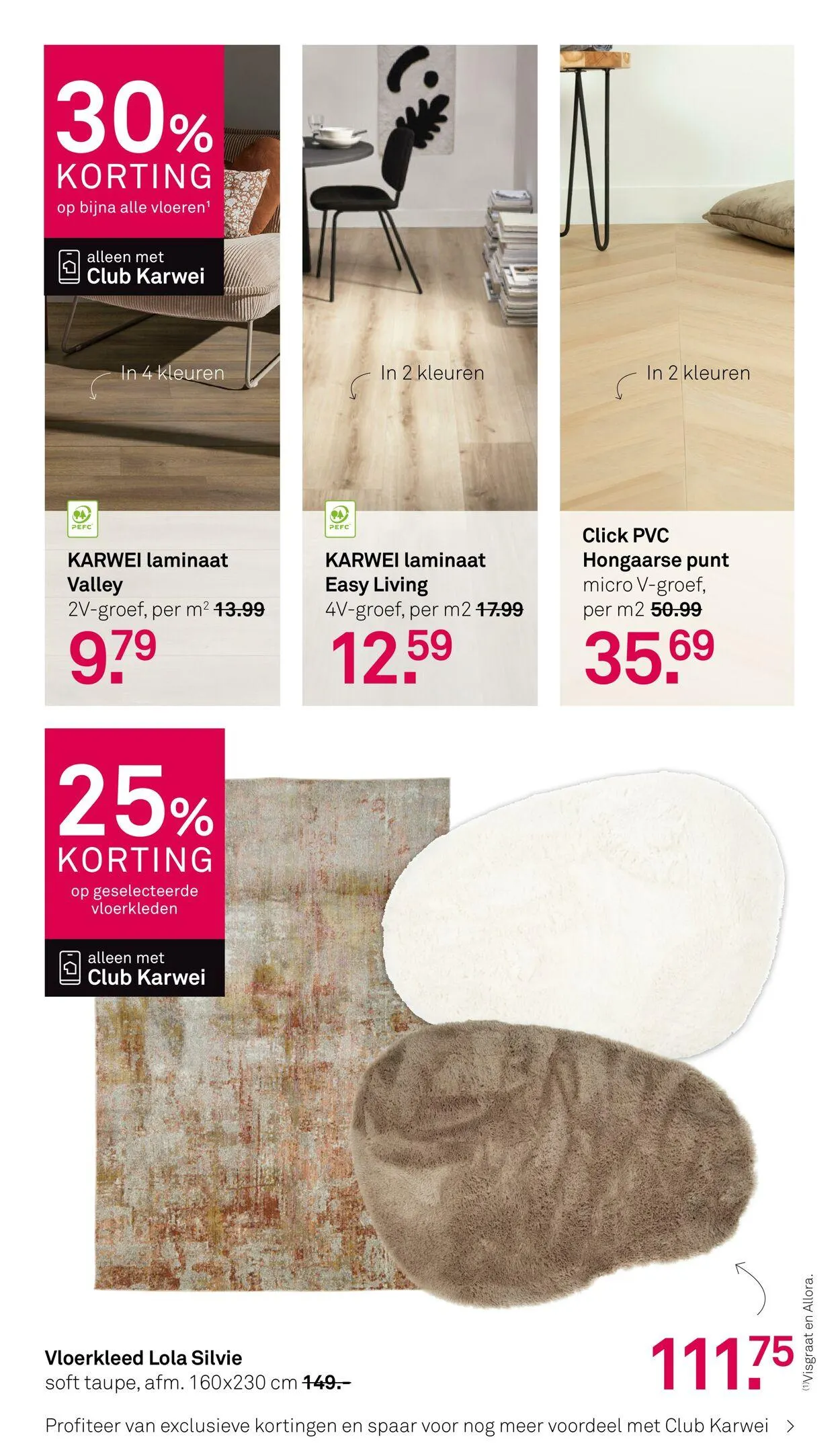 Karwei Actuele folder van 2 december tot 14 december 2025 - Folder pagina 13