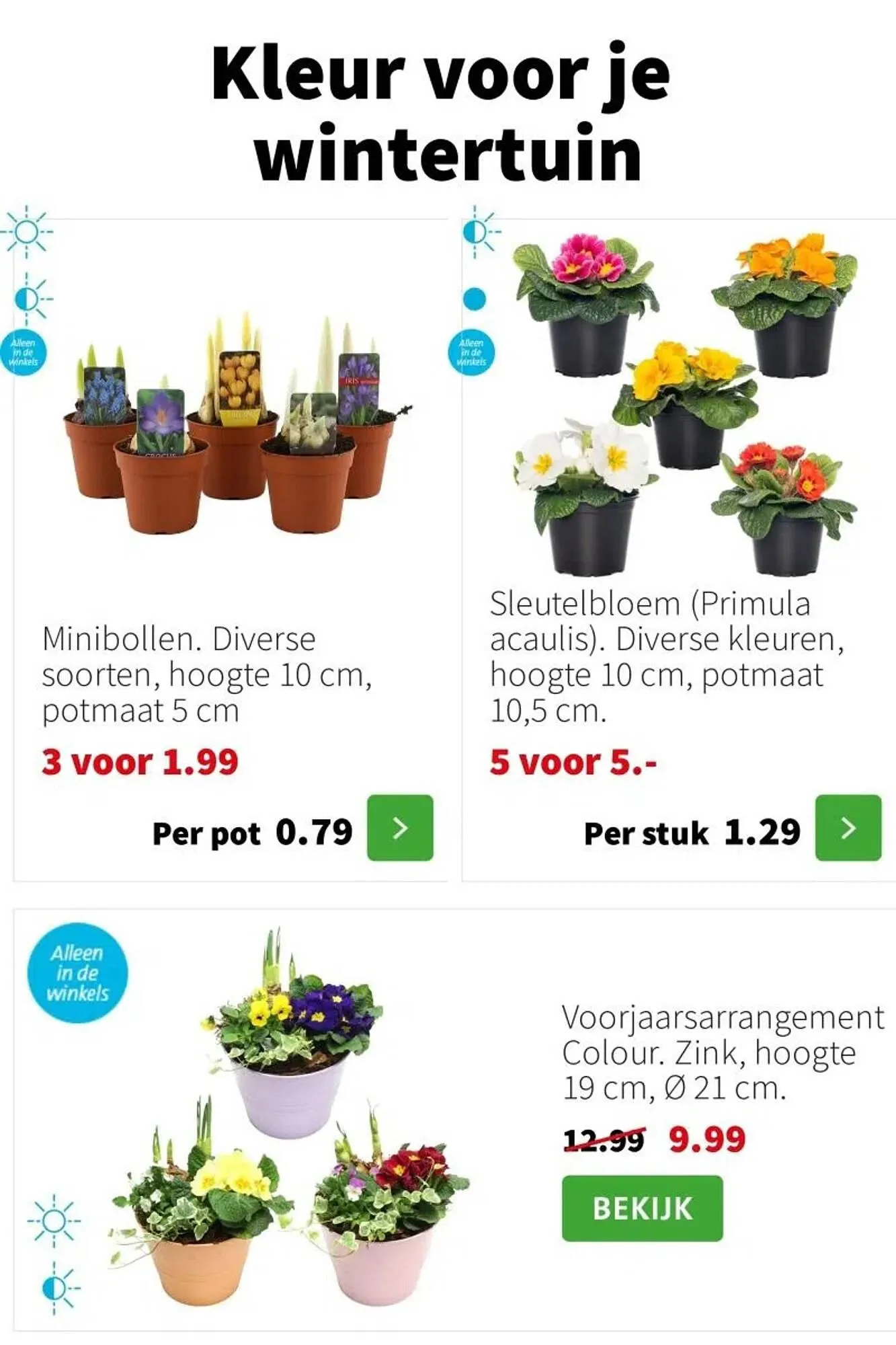 Intratuin folder van 12 januari tot 18 januari 2026 - Folder pagina 7