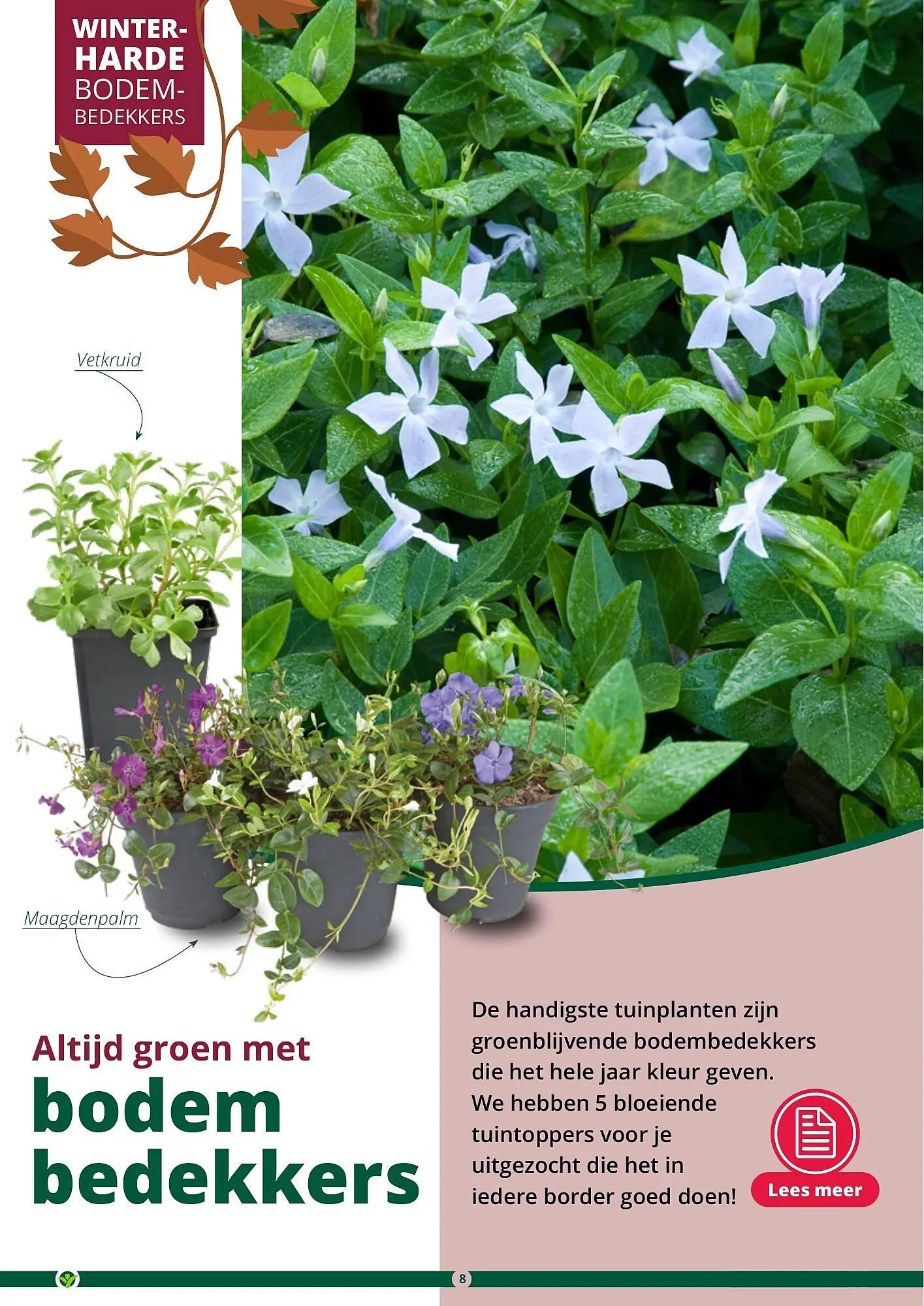 GroenRijk folder van 17 september tot 31 december 2023 - Folder pagina 8