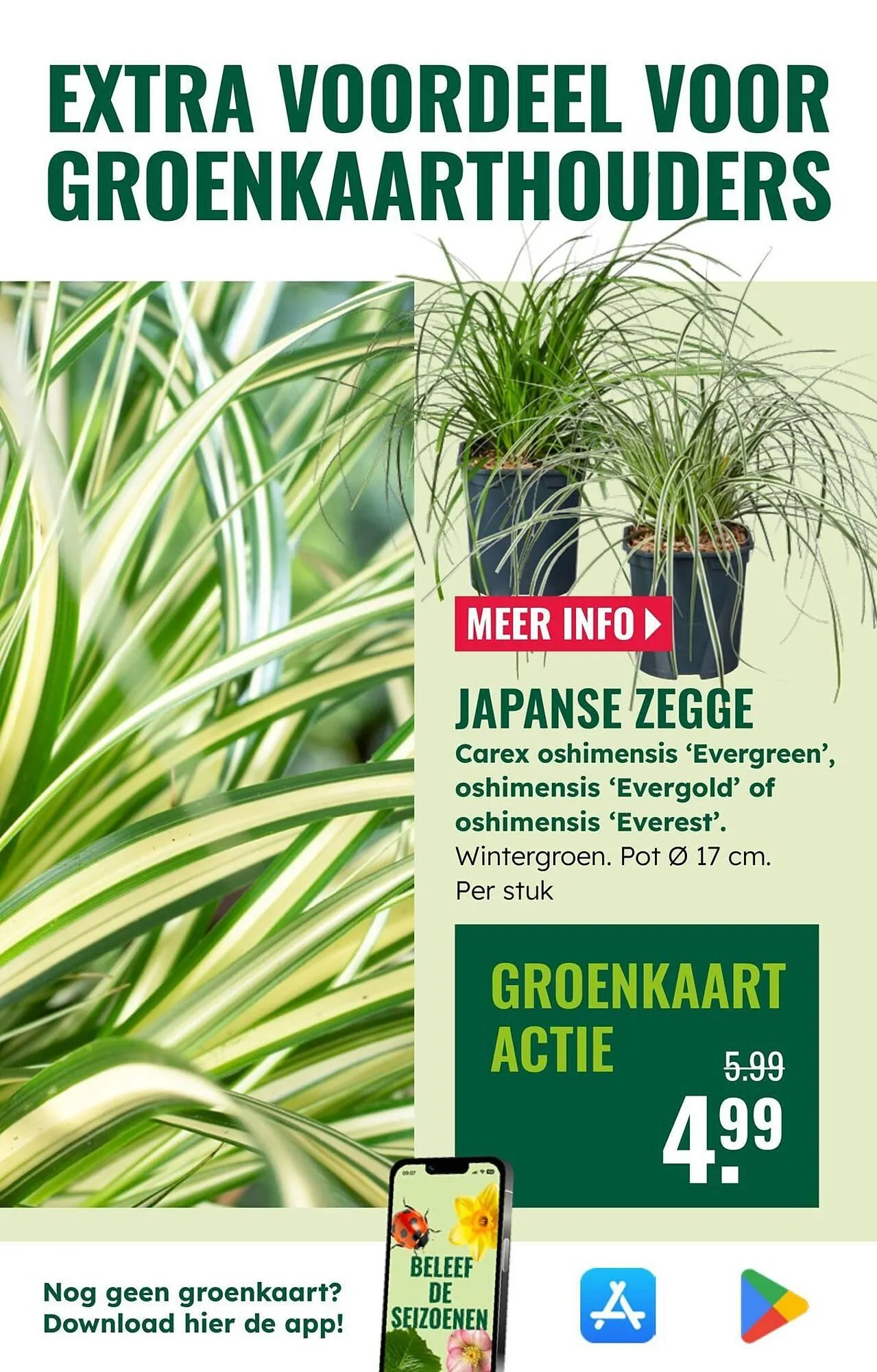 GroenRijk folder van 22 oktober tot 28 oktober 2025 - Folder pagina 15