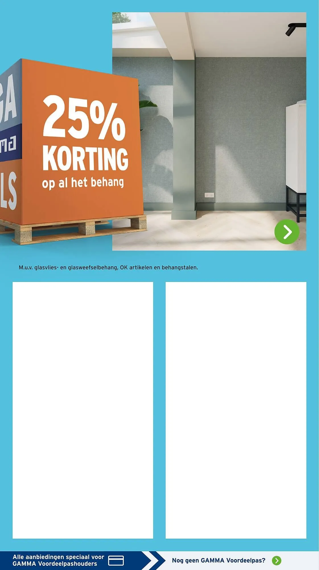 GAMMA folder van 12 januari tot 18 januari 2026 - Folder pagina 6