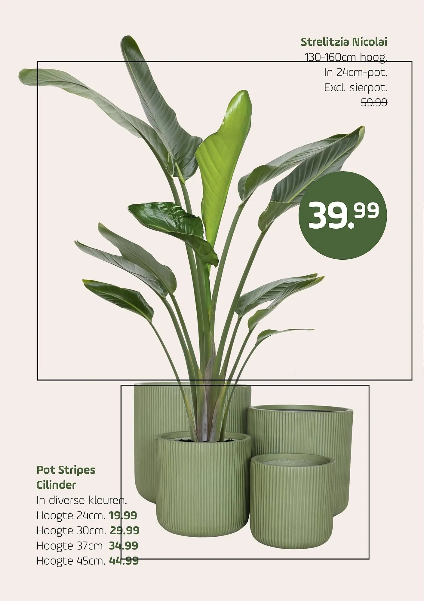 Coppelmans folder van 2 april tot 13 april 2025 - Folder pagina 4