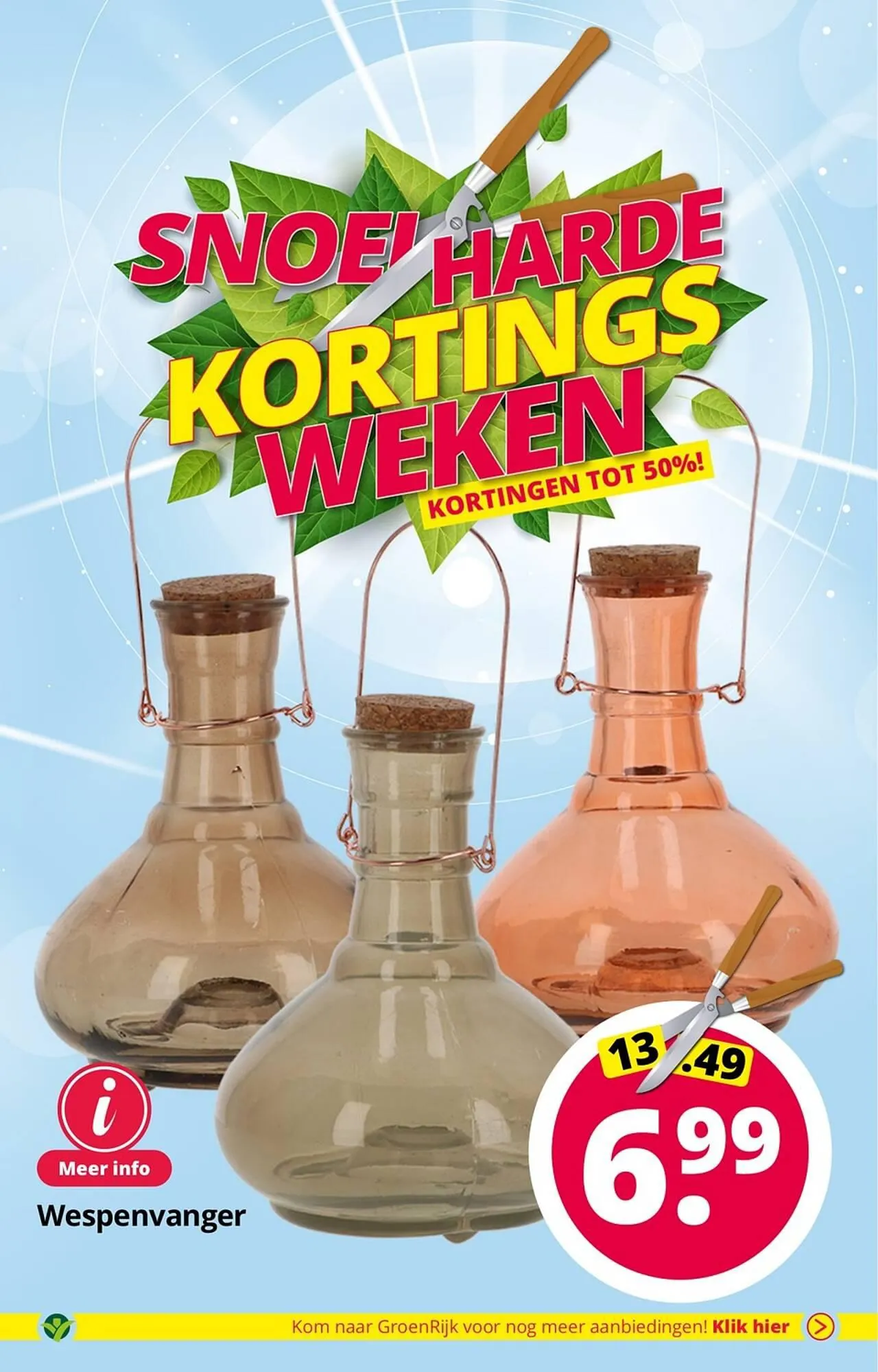 GroenRijk folder van 1 augustus tot 15 augustus 2023 - Folder pagina 17