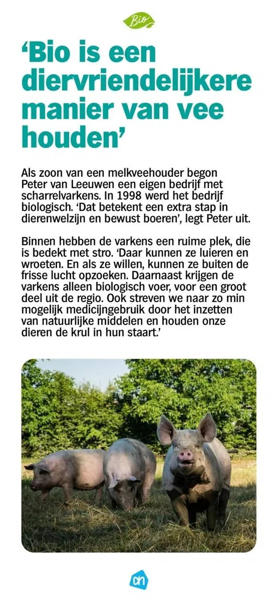 Albert Heijn folder van 24 april tot 7 september 2025 - Folder pagina 36