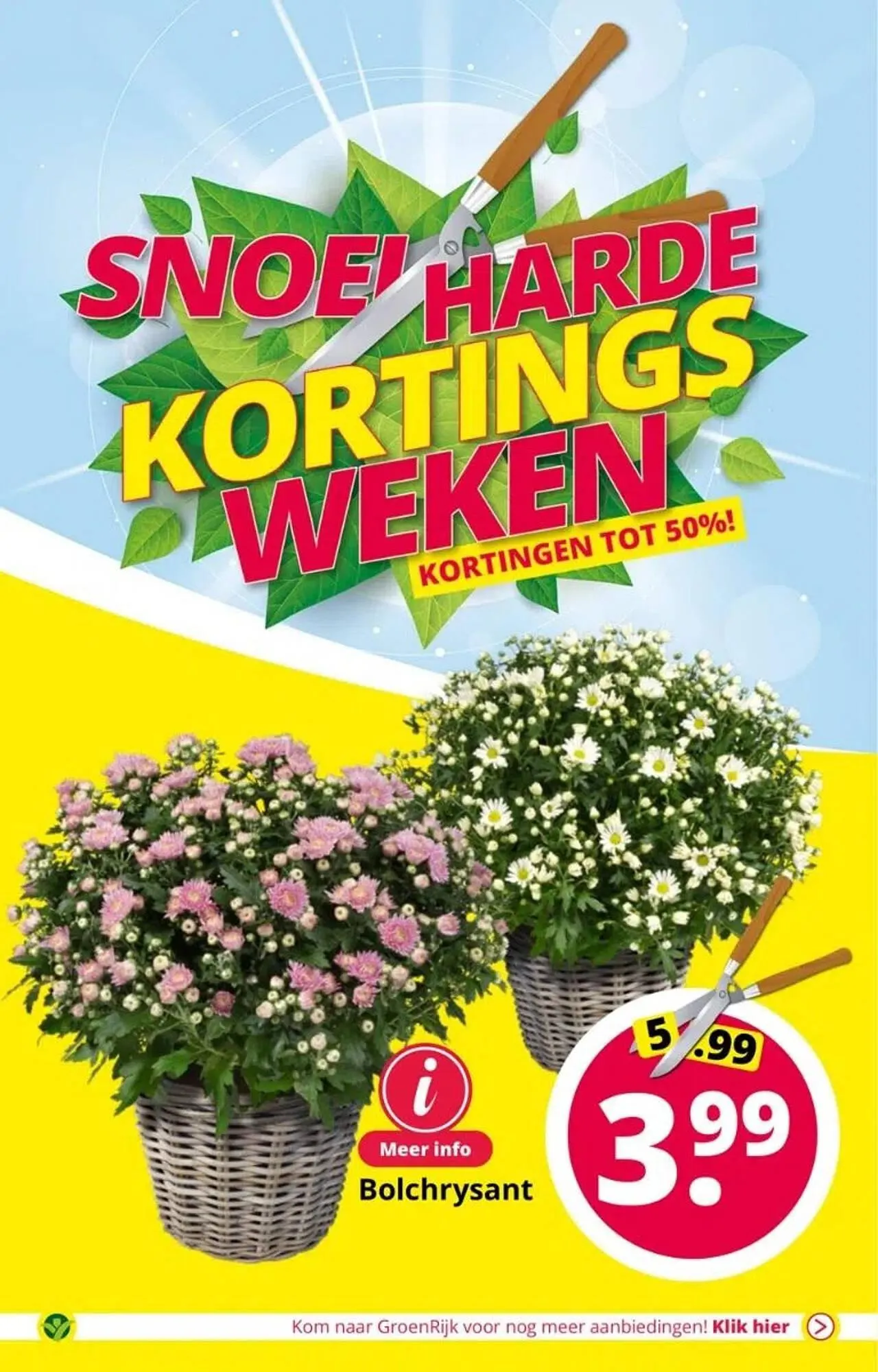 GroenRijk folder van 6 augustus tot 15 augustus 2023 - Folder pagina 12