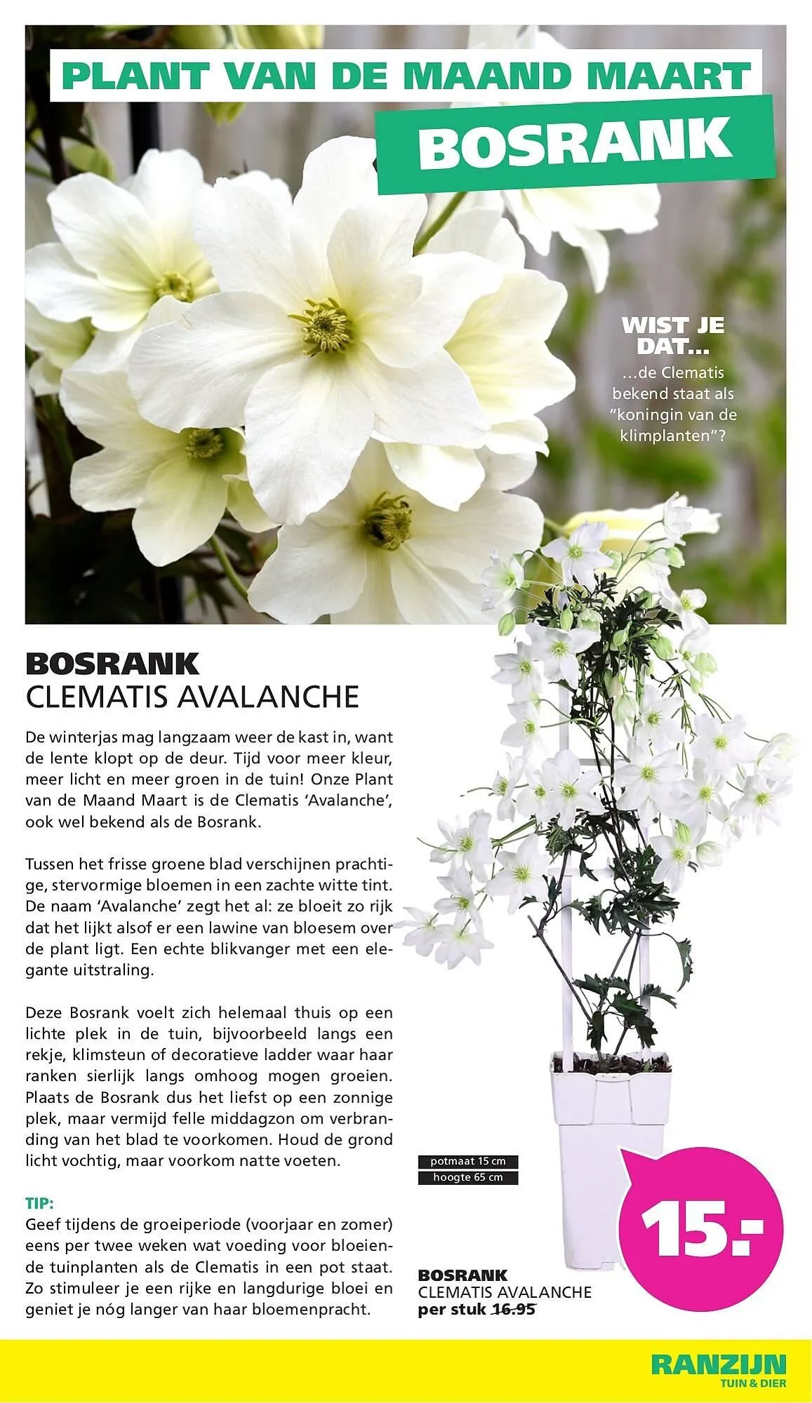 Ranzijn folder van 22 maart tot 28 maart 2026 - Folder pagina 11