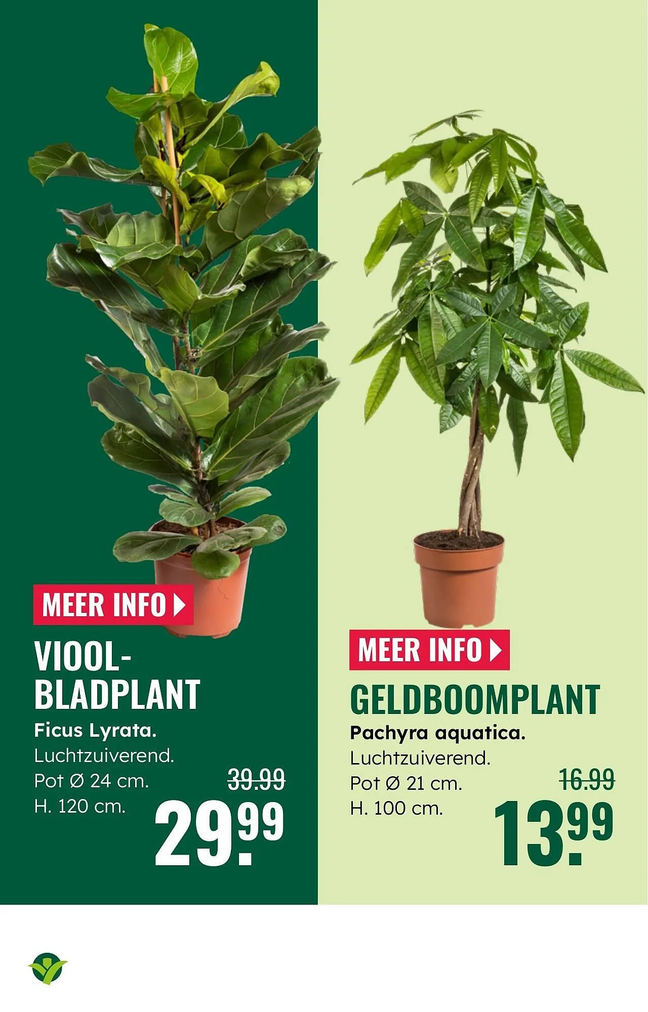 GroenRijk folder van 1 oktober tot 7 oktober 2025 - Folder pagina 9