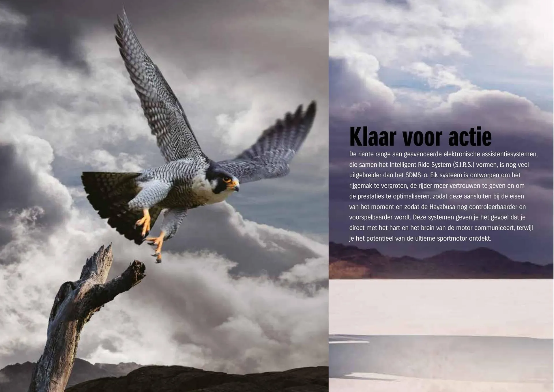 Suzuki folder van 2 januari tot 31 december 2023 - Folder pagina 6