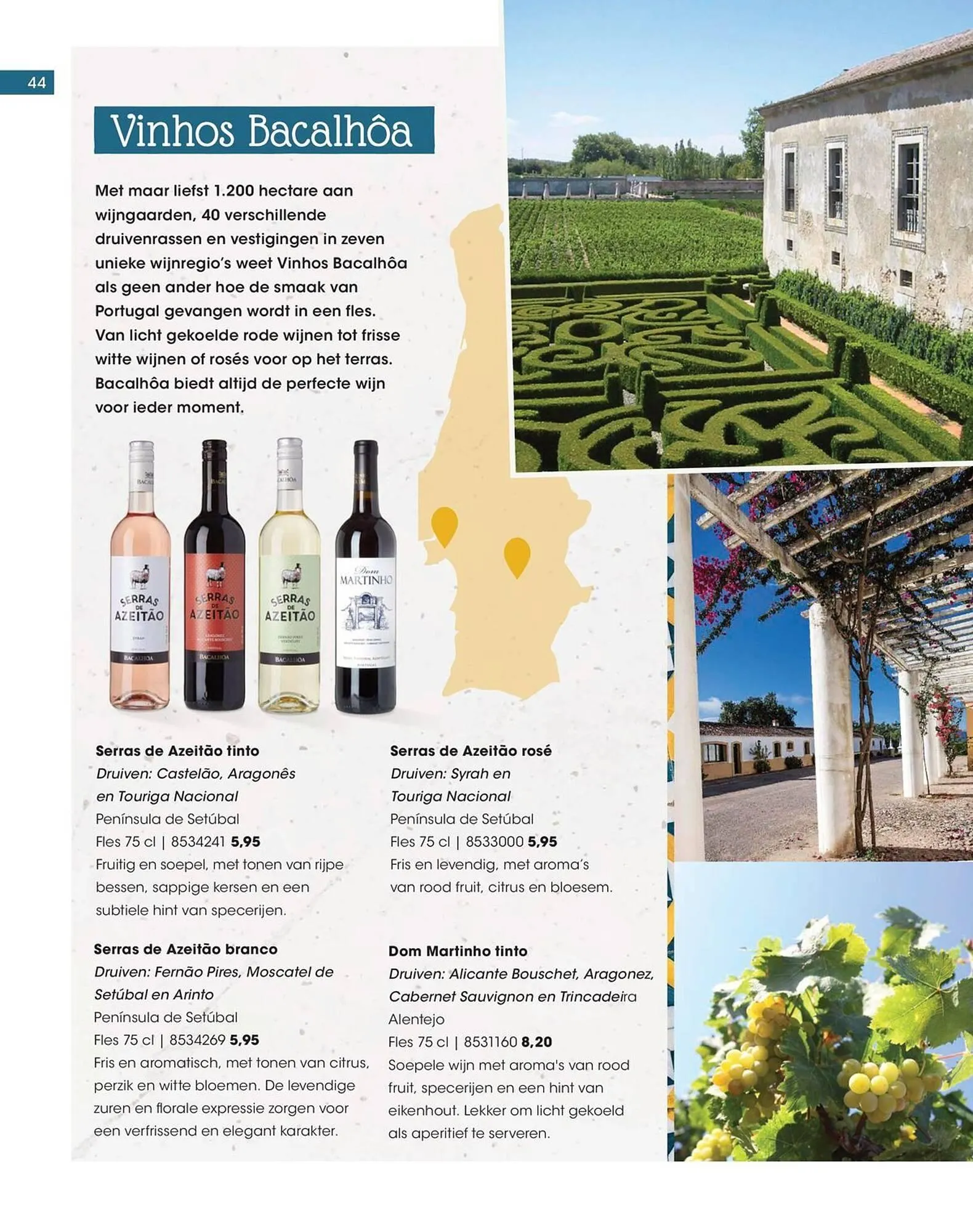 HANOS magazine van 2 juni tot 31 augustus 2025 - Folder pagina 44