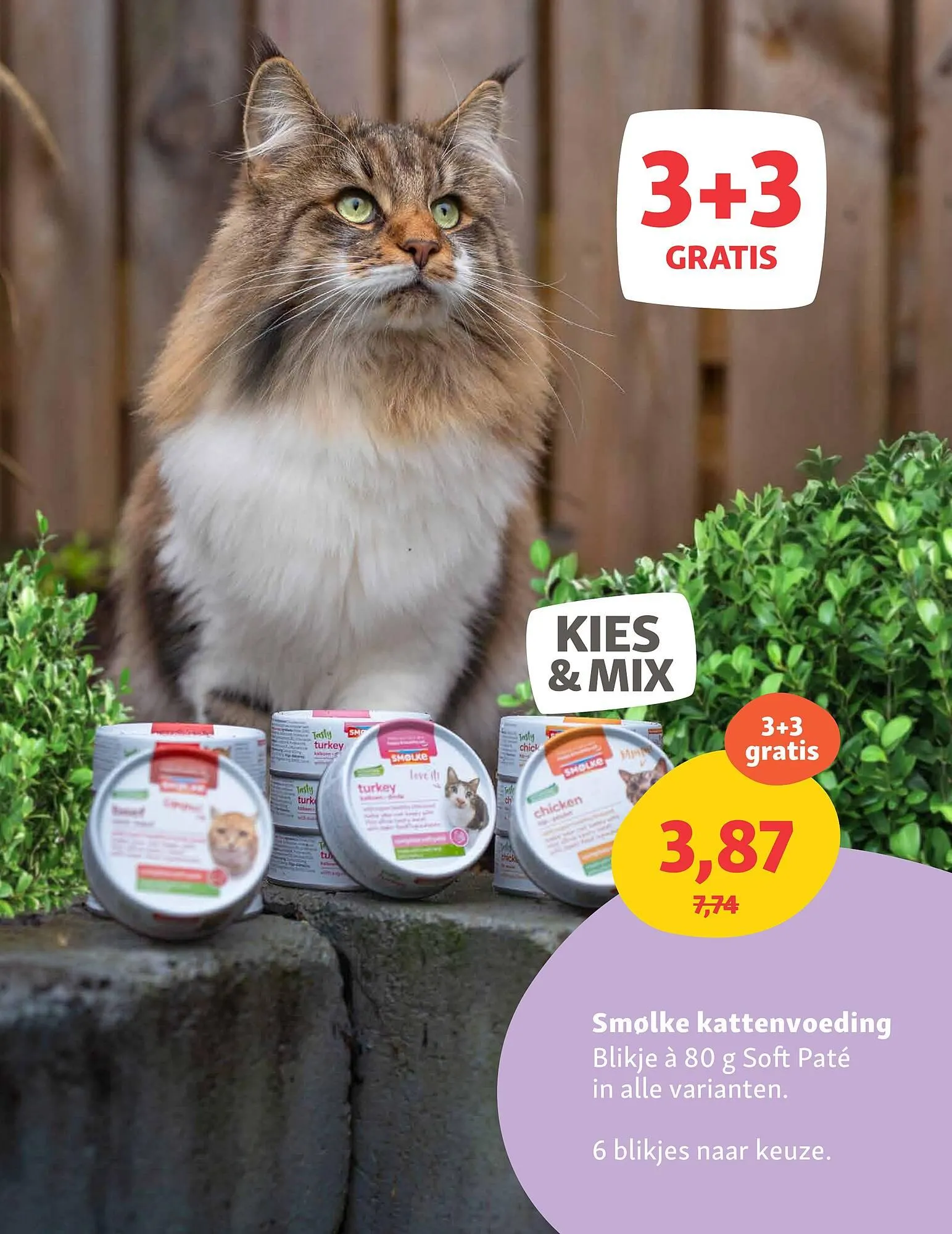 Maxi Zoo folder van 23 juni tot 29 juni 2025 - Folder pagina 6