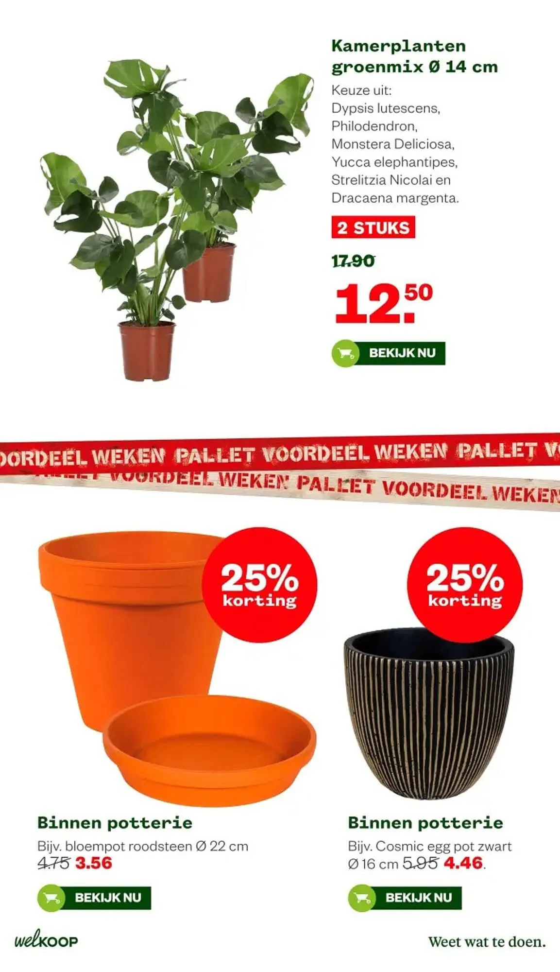 Welkoop folder van 30 december tot 12 januari 2025 - Folder pagina 15