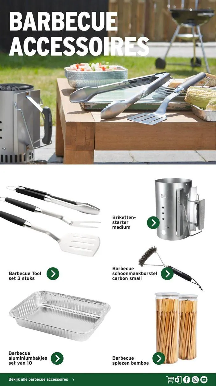 Gamma Decoratief Tuinmagazine 2024 van 4 maart tot 28 februari 2025 - Folder pagina 41