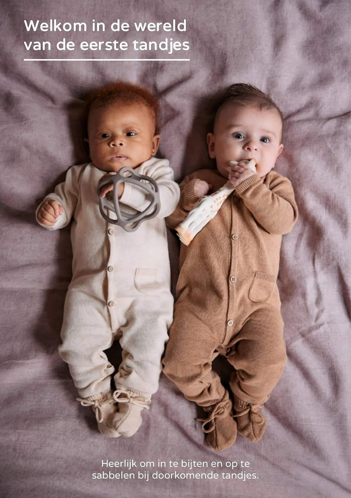 Prenatal folder van 27 november tot 10 december 2023 - Folder pagina 12