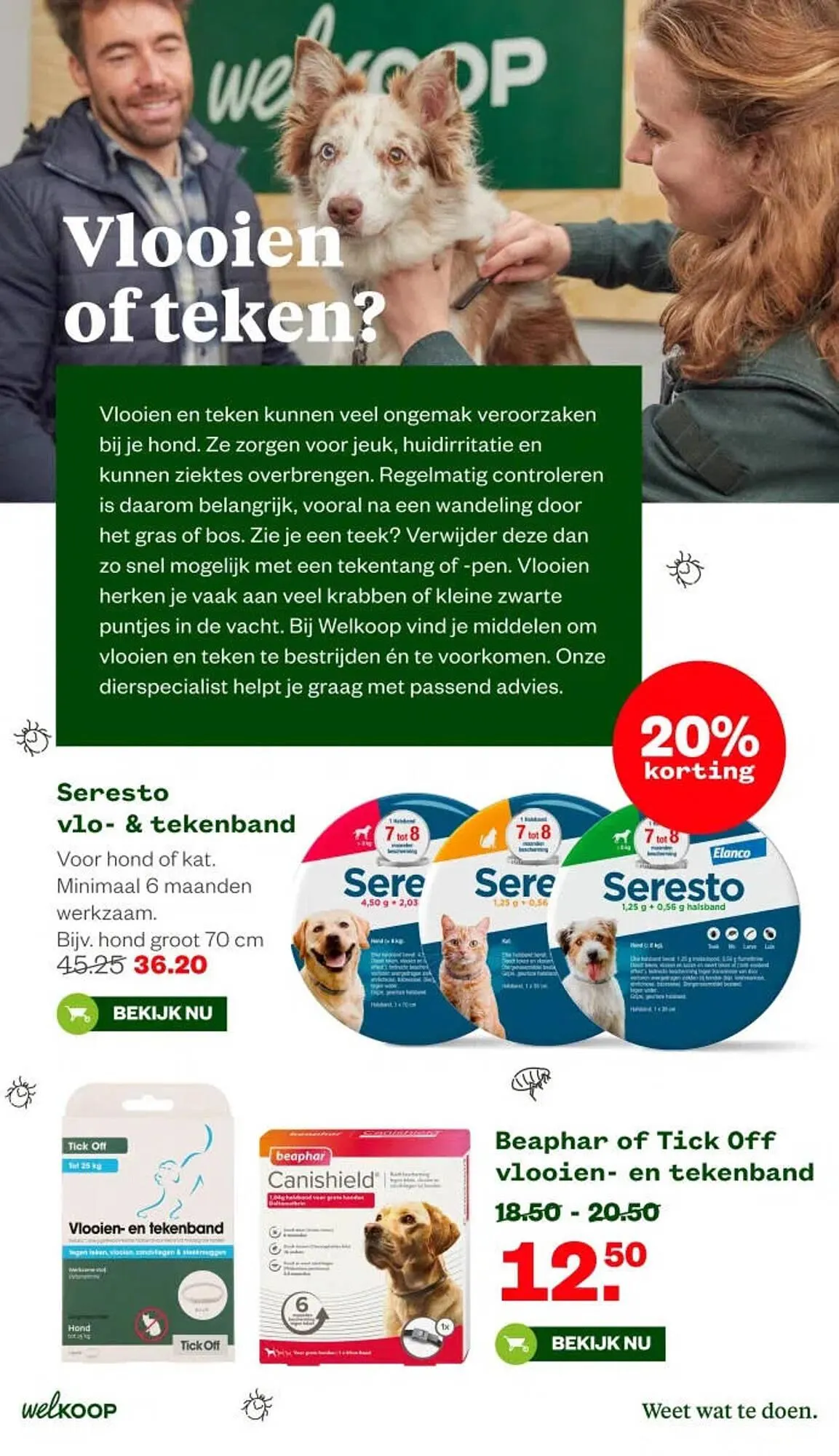 Welkoop folder van 16 maart tot 21 maart 2026 - Folder pagina 33