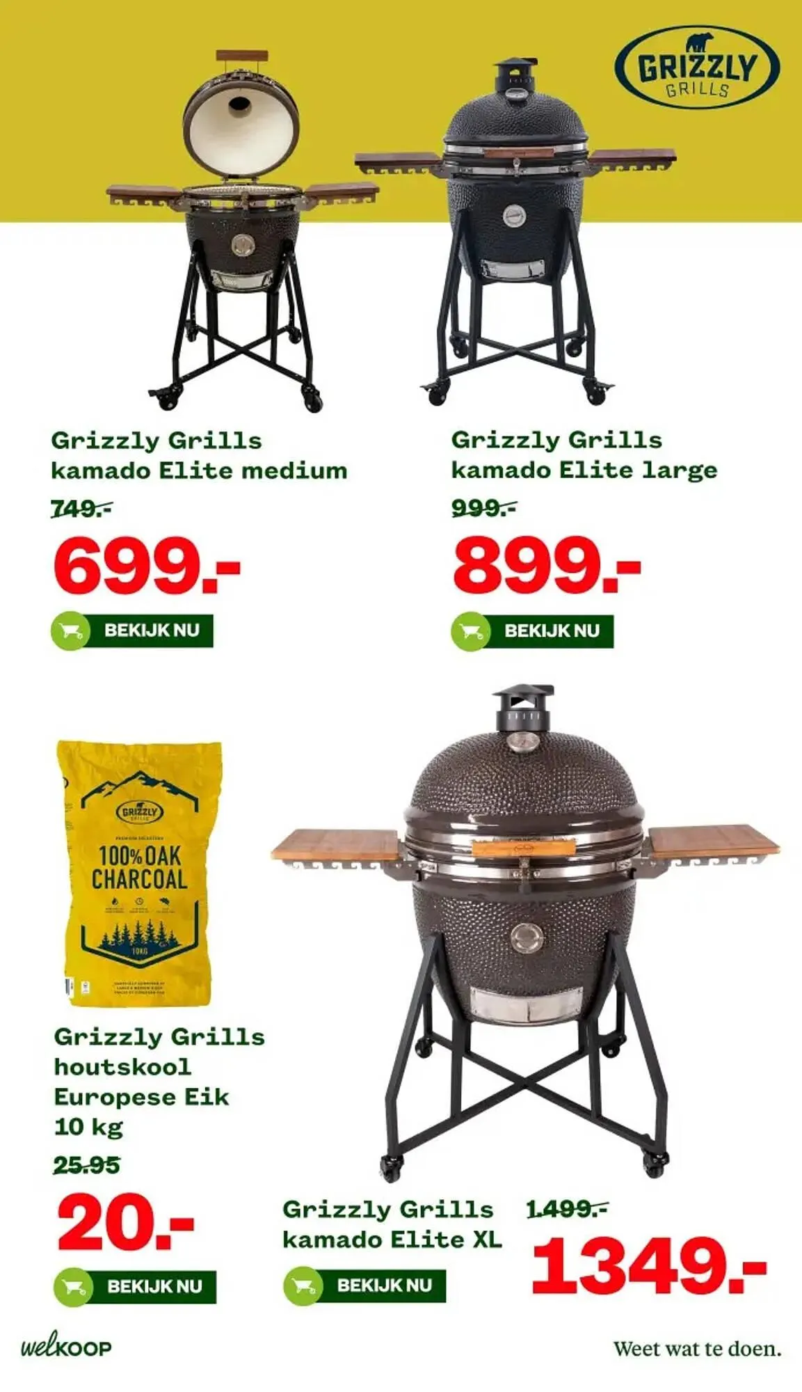 Welkoop folder van 31 maart tot 13 april 2025 - Folder pagina 17