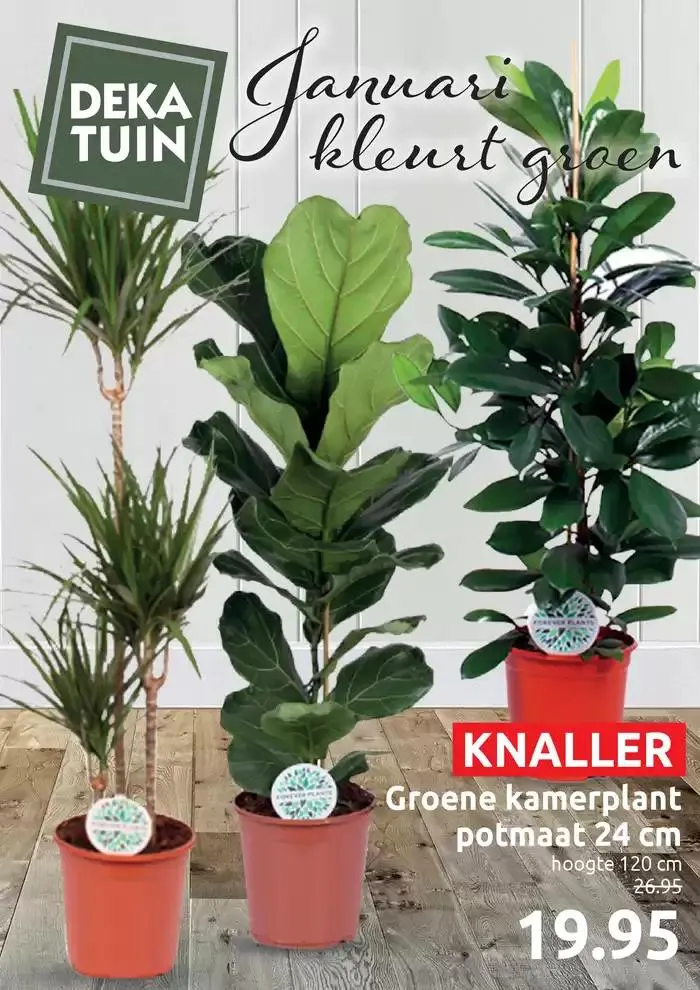 Januari kleurt groen van 8 januari tot 12 januari 2025 - Folder pagina 1