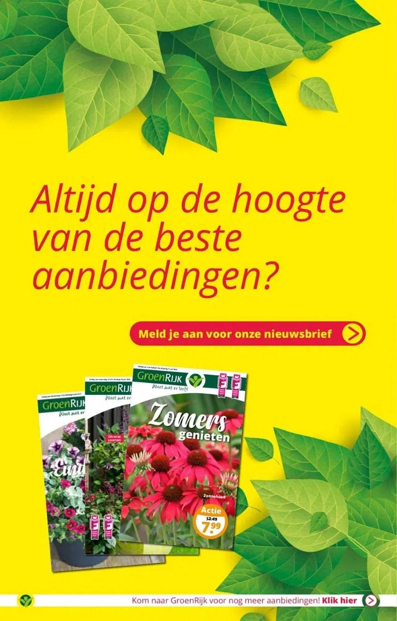 GroenRijk folder van 6 augustus tot 15 augustus 2023 - Folder pagina 4