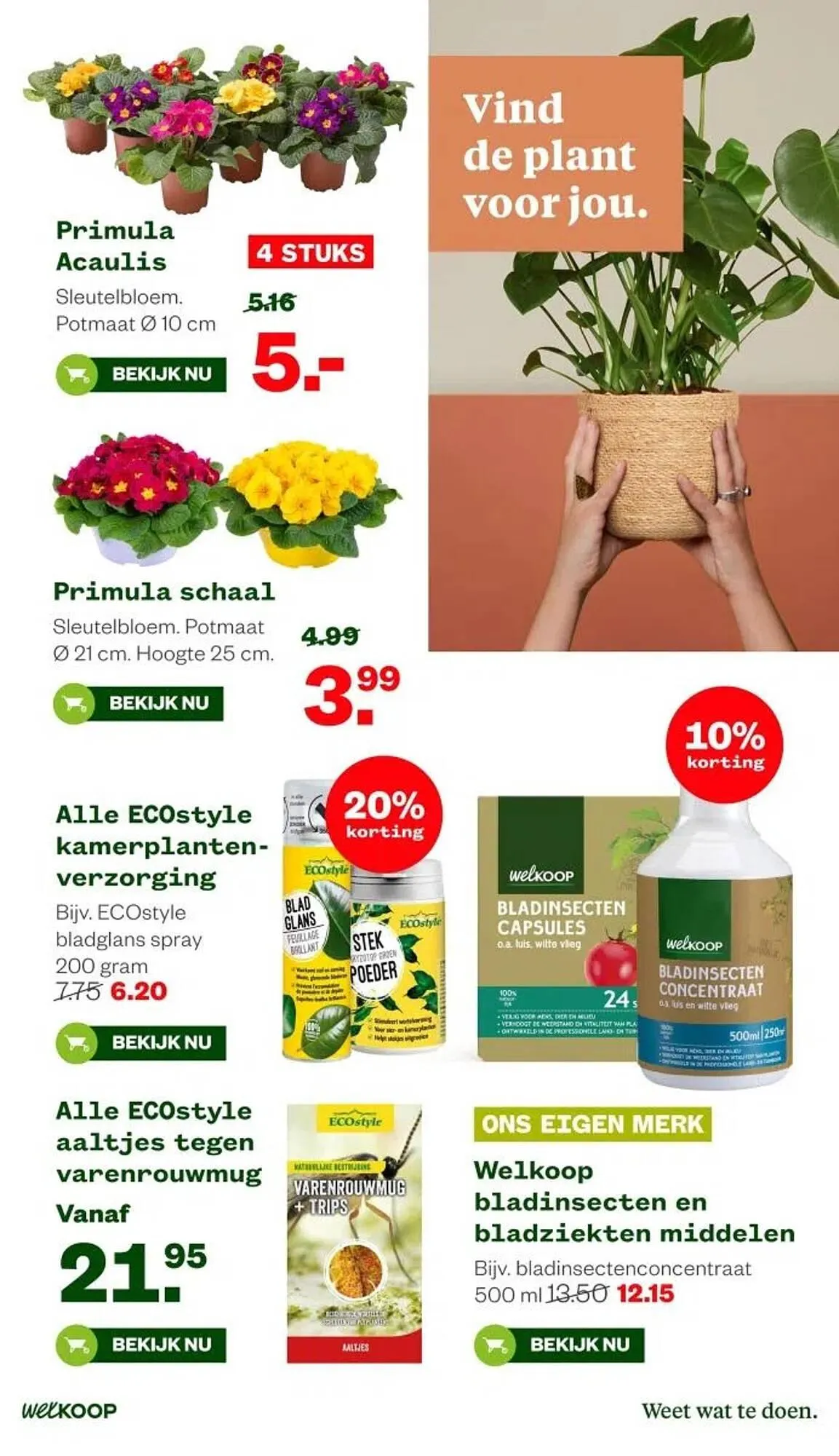 Welkoop folder van 26 januari tot 1 februari 2026 - Folder pagina 21