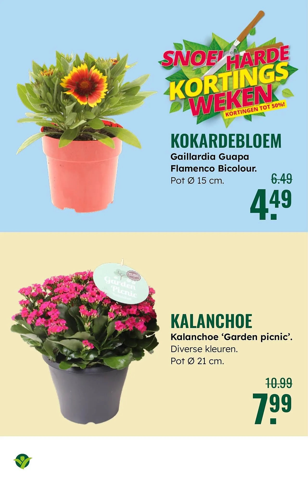 GroenRijk folder van 30 juli tot 12 augustus 2025 - Folder pagina 11