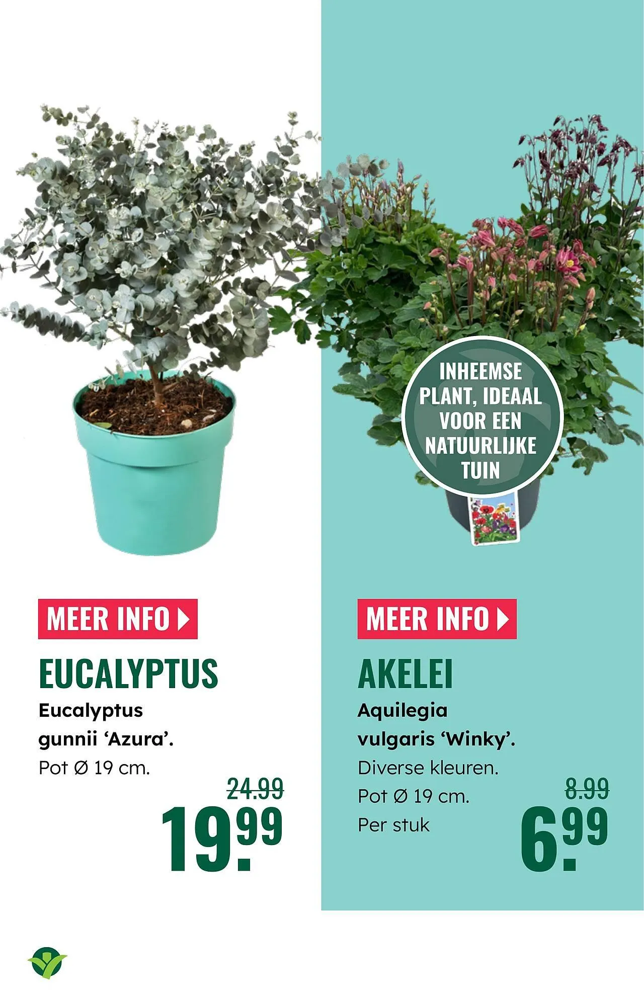 GroenRijk folder van 2 april tot 8 april 2026 - Folder pagina 22