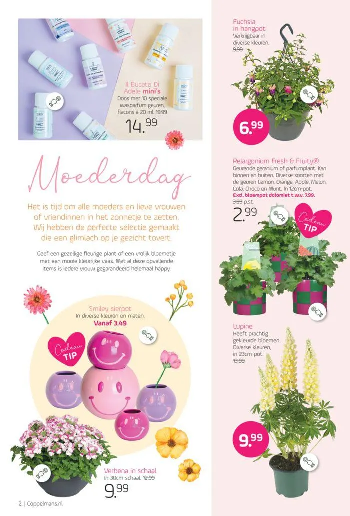 Moederdag special van 1 mei tot 15 mei 2024 - Folder pagina 4
