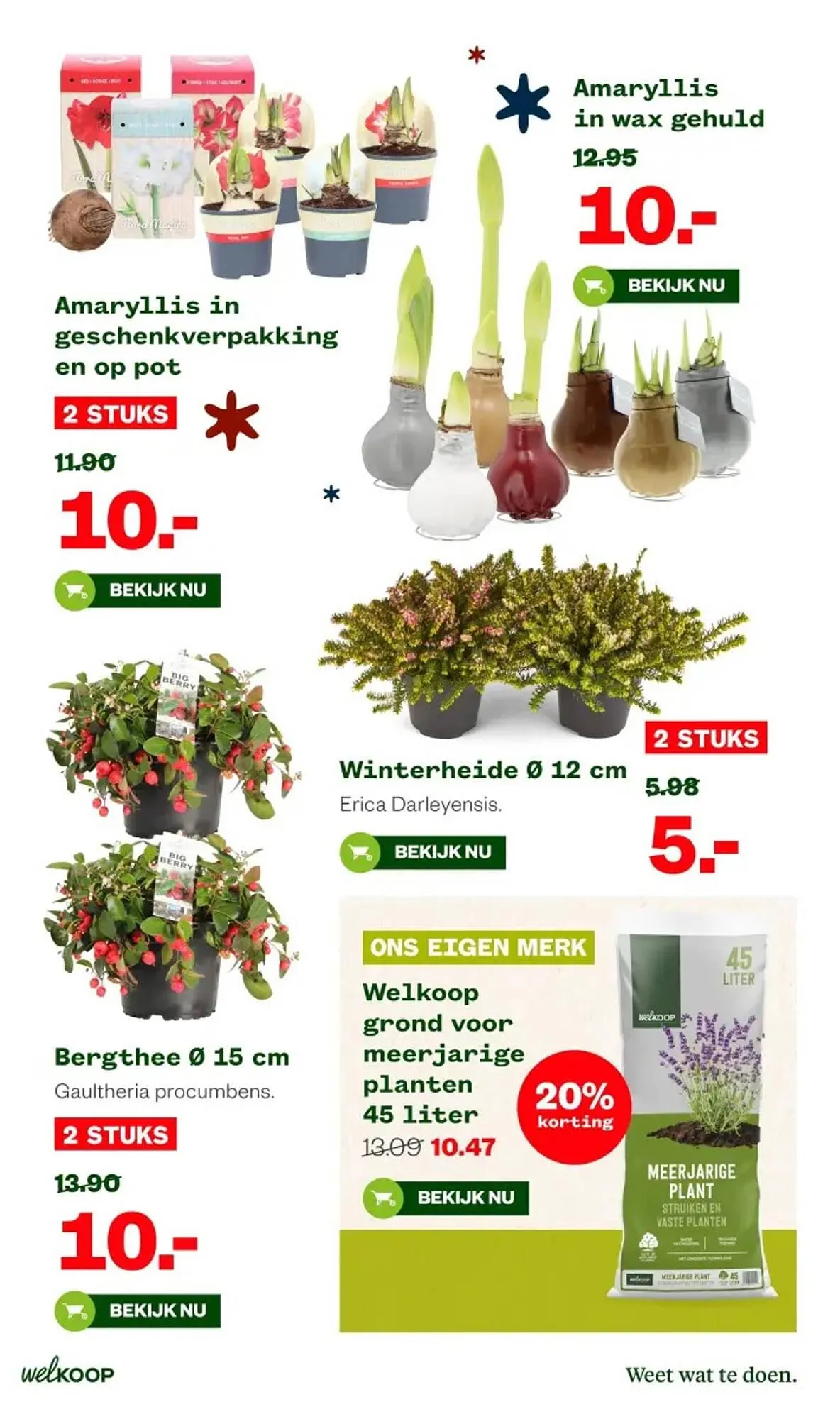 Welkoop folder van 10 november tot 23 november 2025 - Folder pagina 15