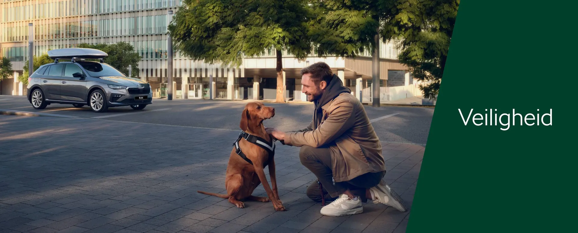 Skoda folder van 2 februari tot 28 februari 2027 - Folder pagina 29