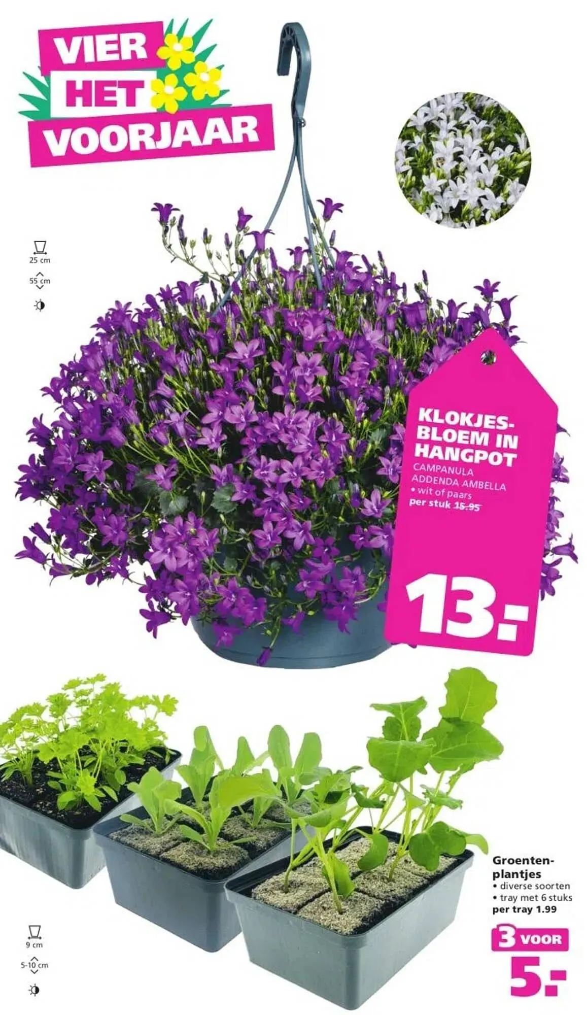 Ranzijn folder van 23 maart tot 5 april 2025 - Folder pagina 2