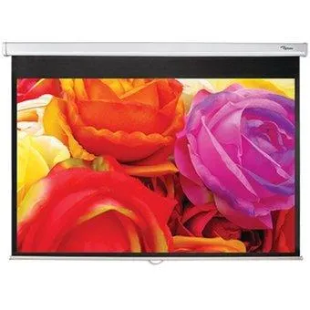Optoma DS-1109PMG+/Screens Pull Down 16:10