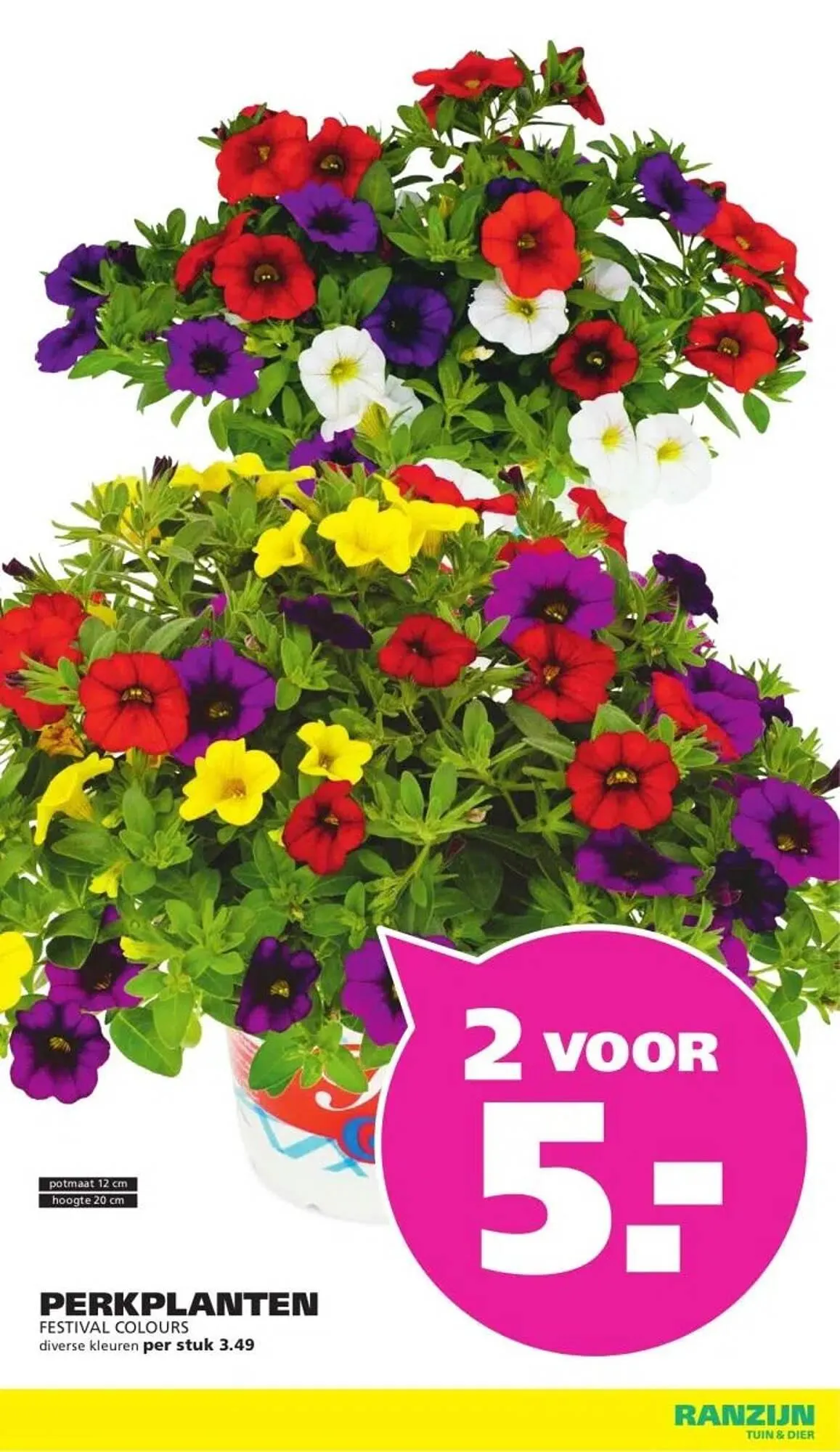 Ranzijn folder van 11 mei tot 24 mei 2025 - Folder pagina 2