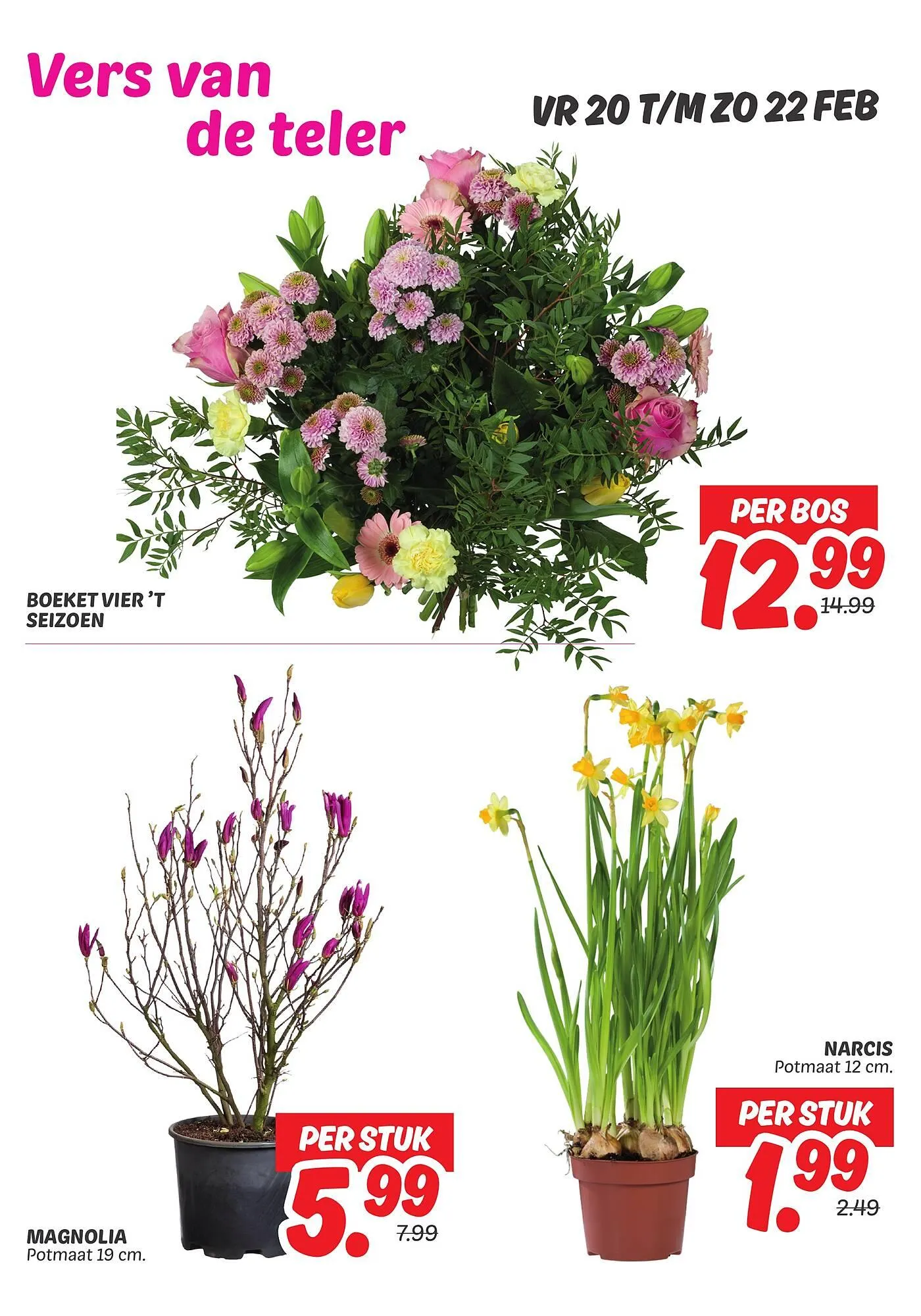 Dekamarkt folder van 20 februari tot 22 februari 2026 - Folder pagina 6