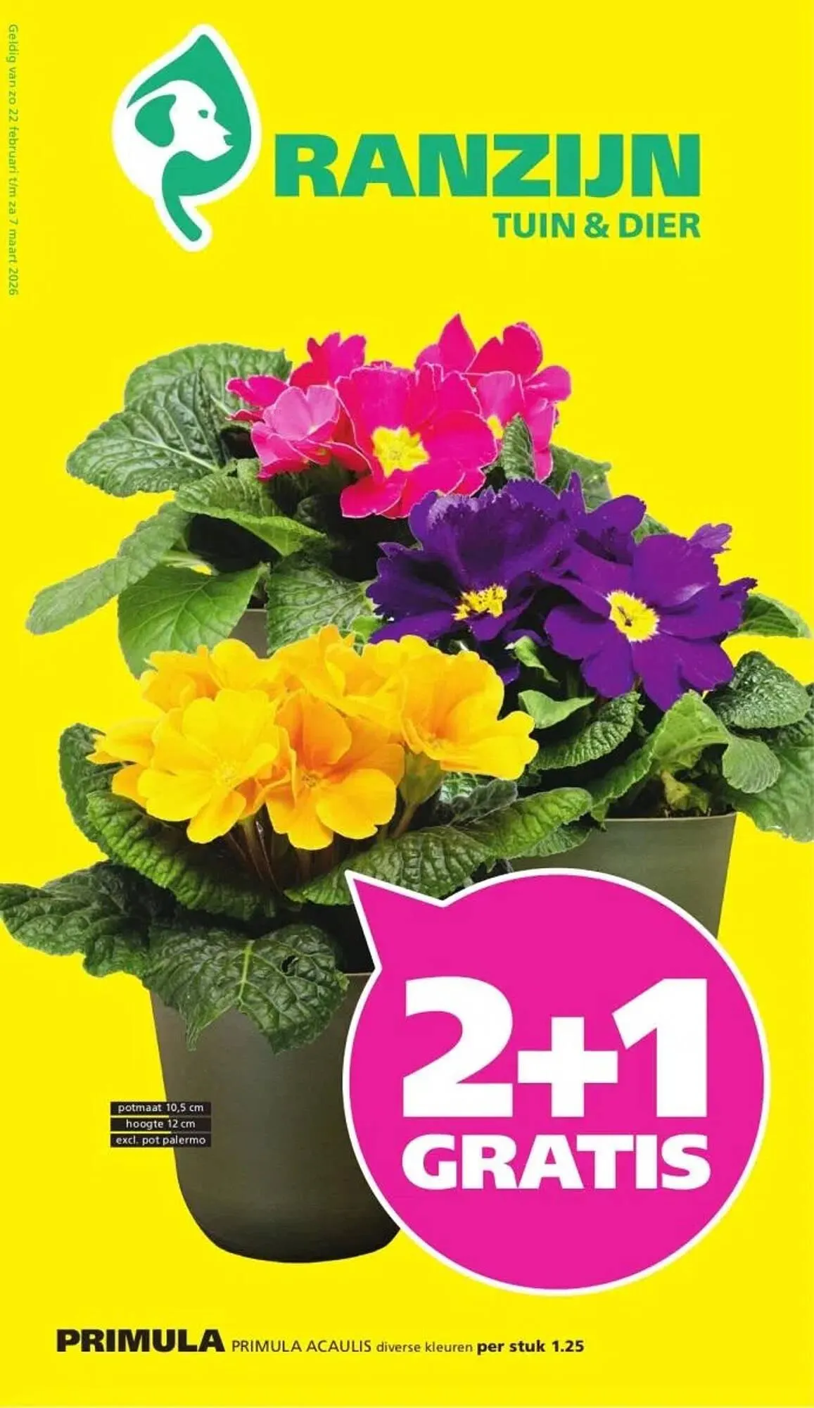 Ranzijn folder van 22 februari tot 7 maart 2026 - Folder pagina 1