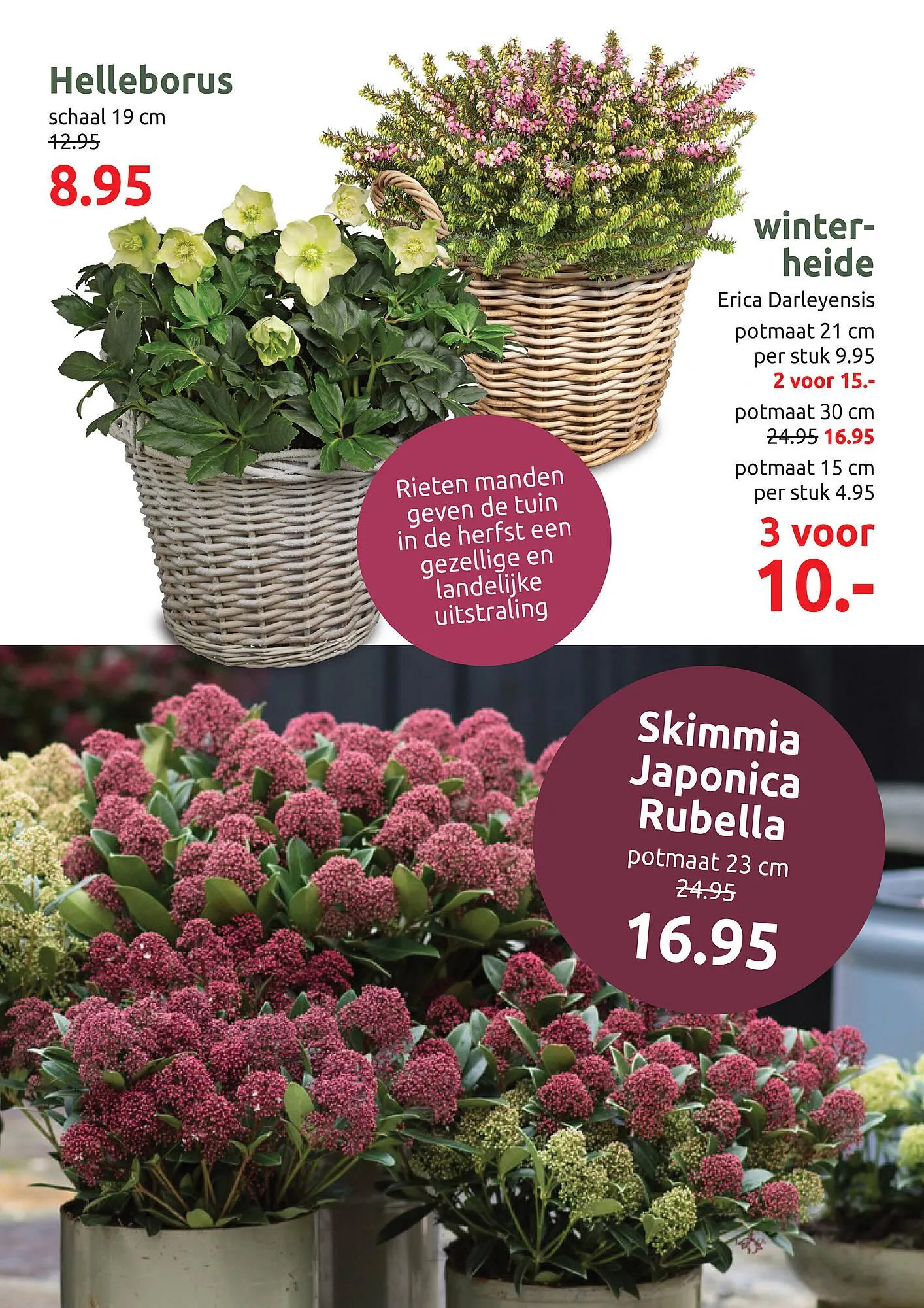 Deka Tuin folder van 24 november tot 7 december 2025 - Folder pagina 6