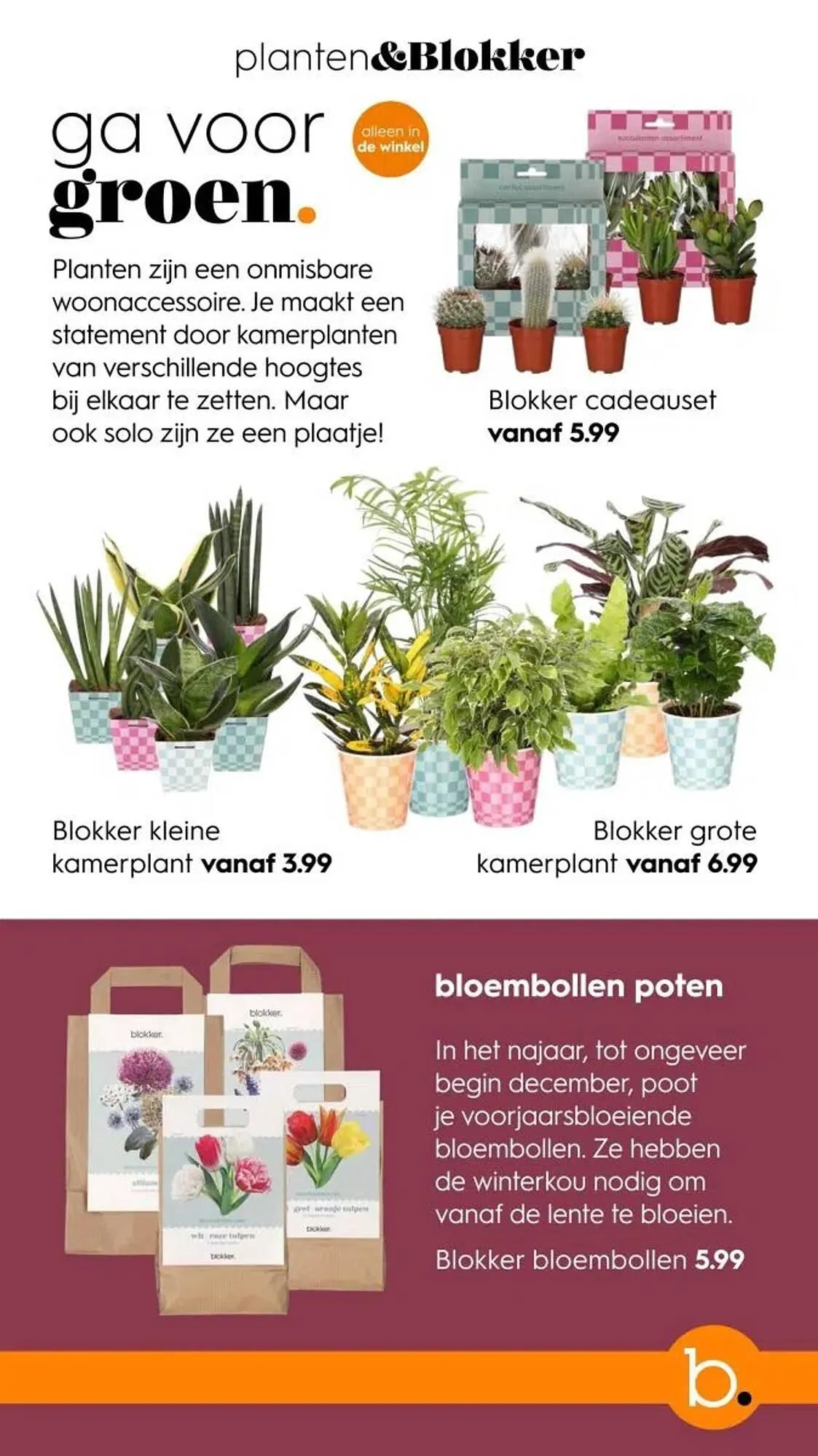 Blokker folder van 1 oktober tot 29 november 2024 - Folder pagina 14