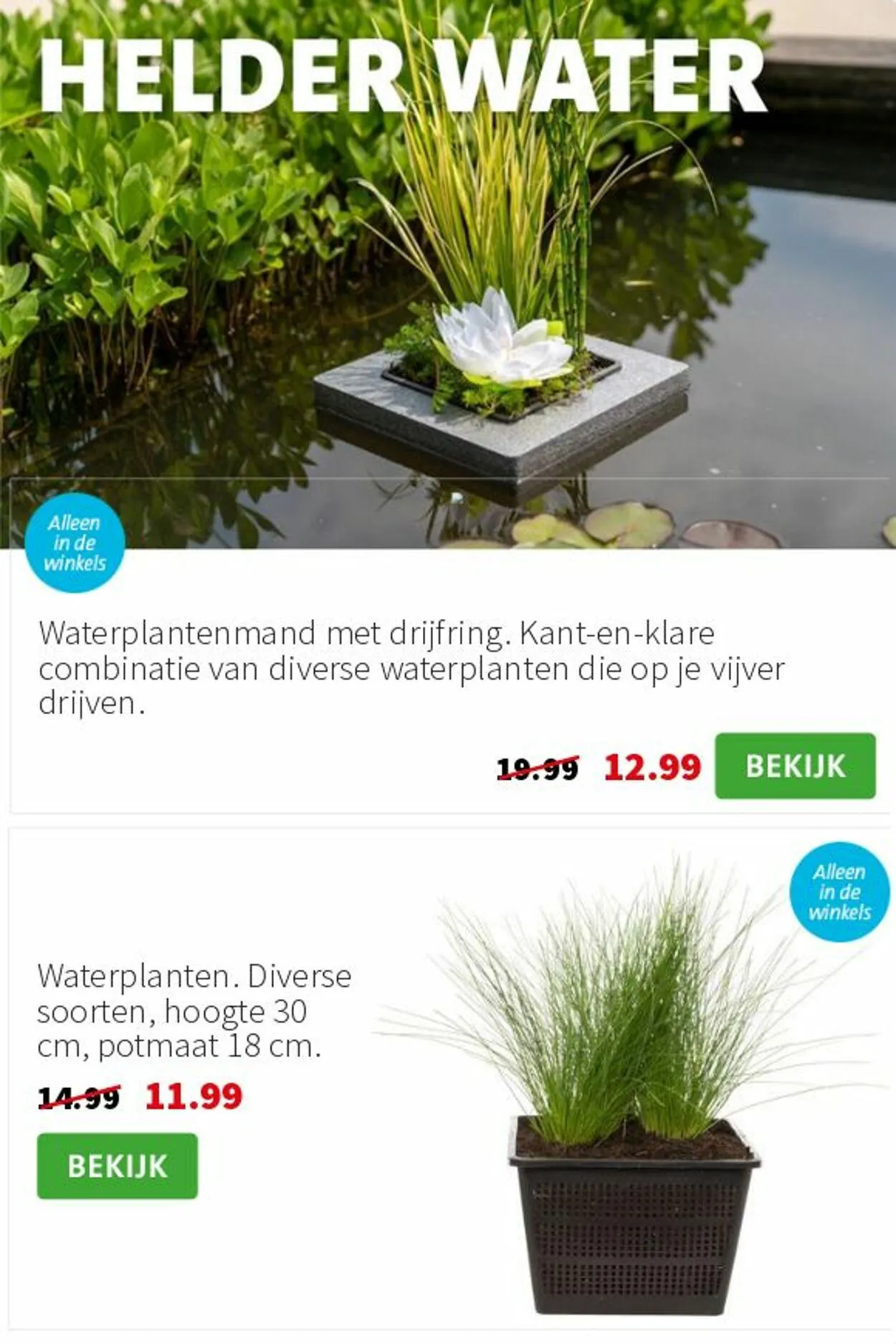 Intratuin Actuele folder van 17 augustus tot 31 augustus 2025 - Folder pagina 13