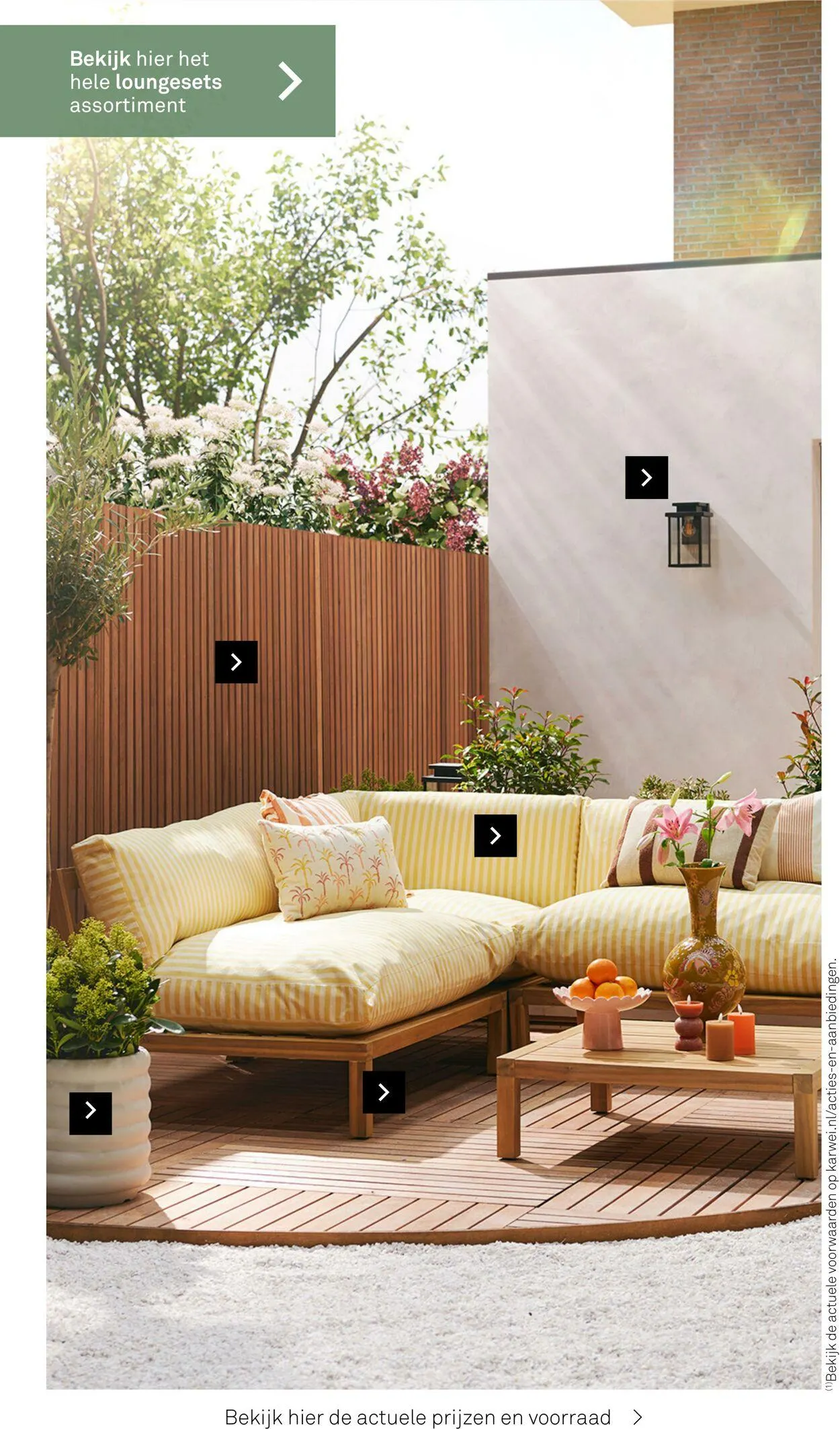 Karwei Actuele folder van 17 maart tot 23 maart 2025 - Folder pagina 14