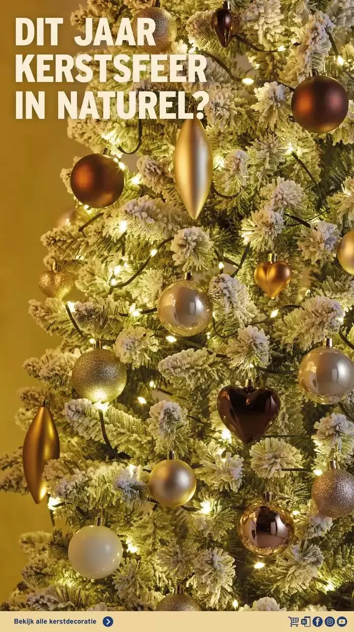 Kerstspecial 2024 van 30 september tot 31 december 2024 - Folder pagina 22