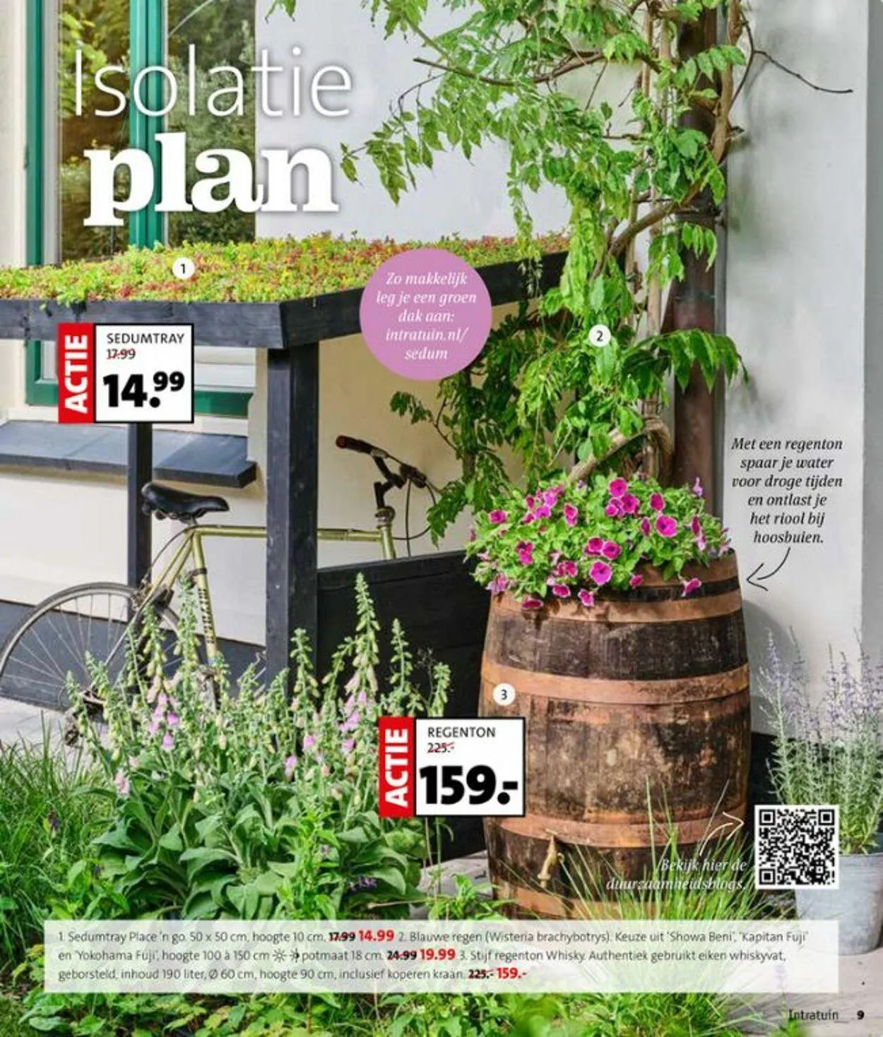 Intratuin Actuele folder van 3 augustus tot 17 augustus 2025 - Folder pagina 9