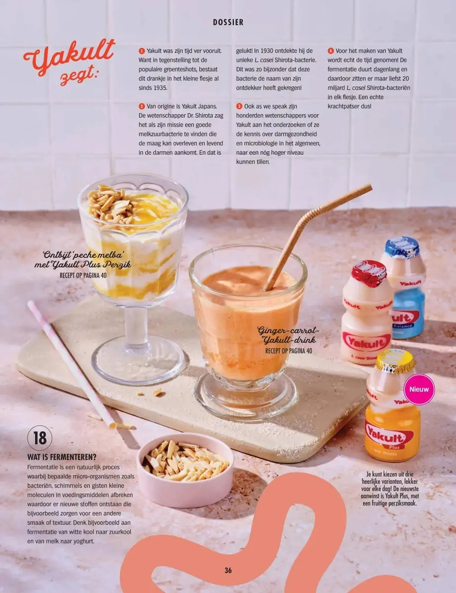 Albert Heijn folder van 10 maart tot 31 december 2025 - Folder pagina 36